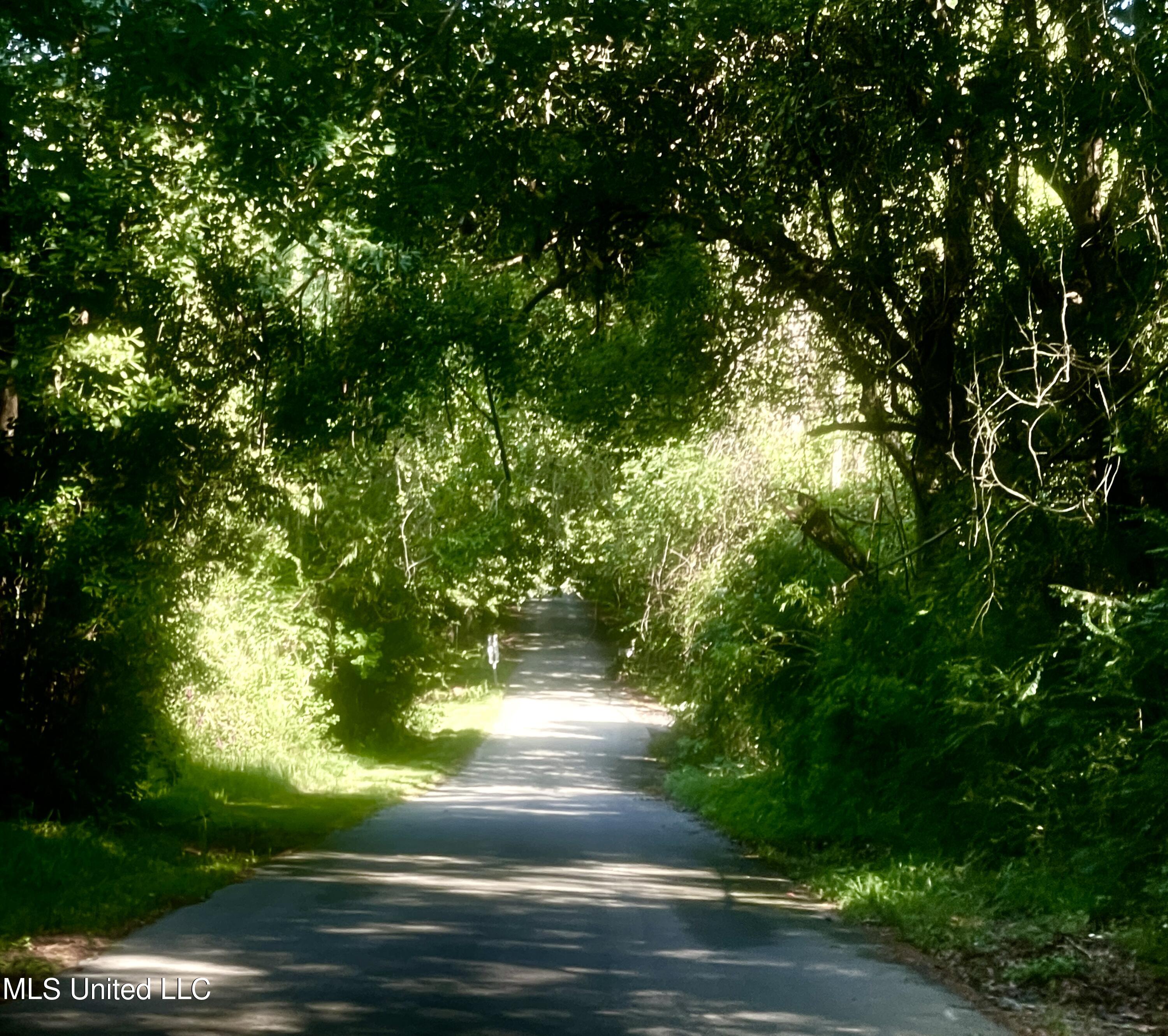 0000 Pabst Road, Ocean Springs, Mississippi image 8