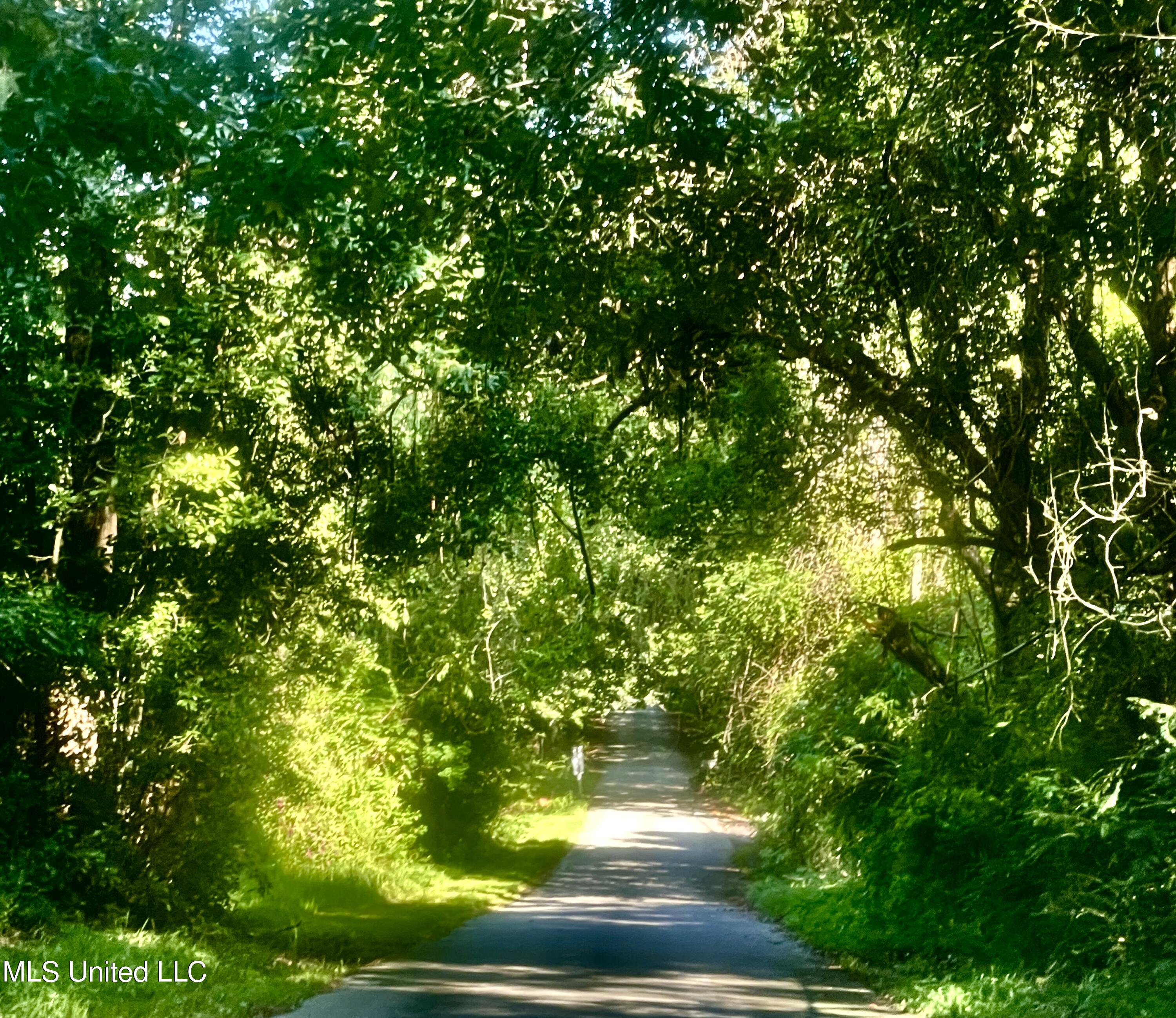 0000 Pabst Road, Ocean Springs, Mississippi image 11