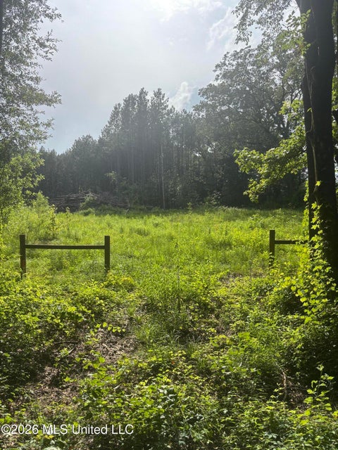 Vacant Land For Sale - 8119 Dry Grove Road<br/> Raymond, MS 39154