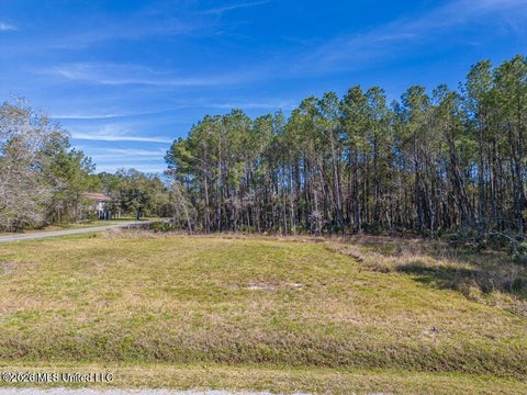 Vacant Land For Sale - Chapman Road<br/> Bay Saint Louis, MS 39520