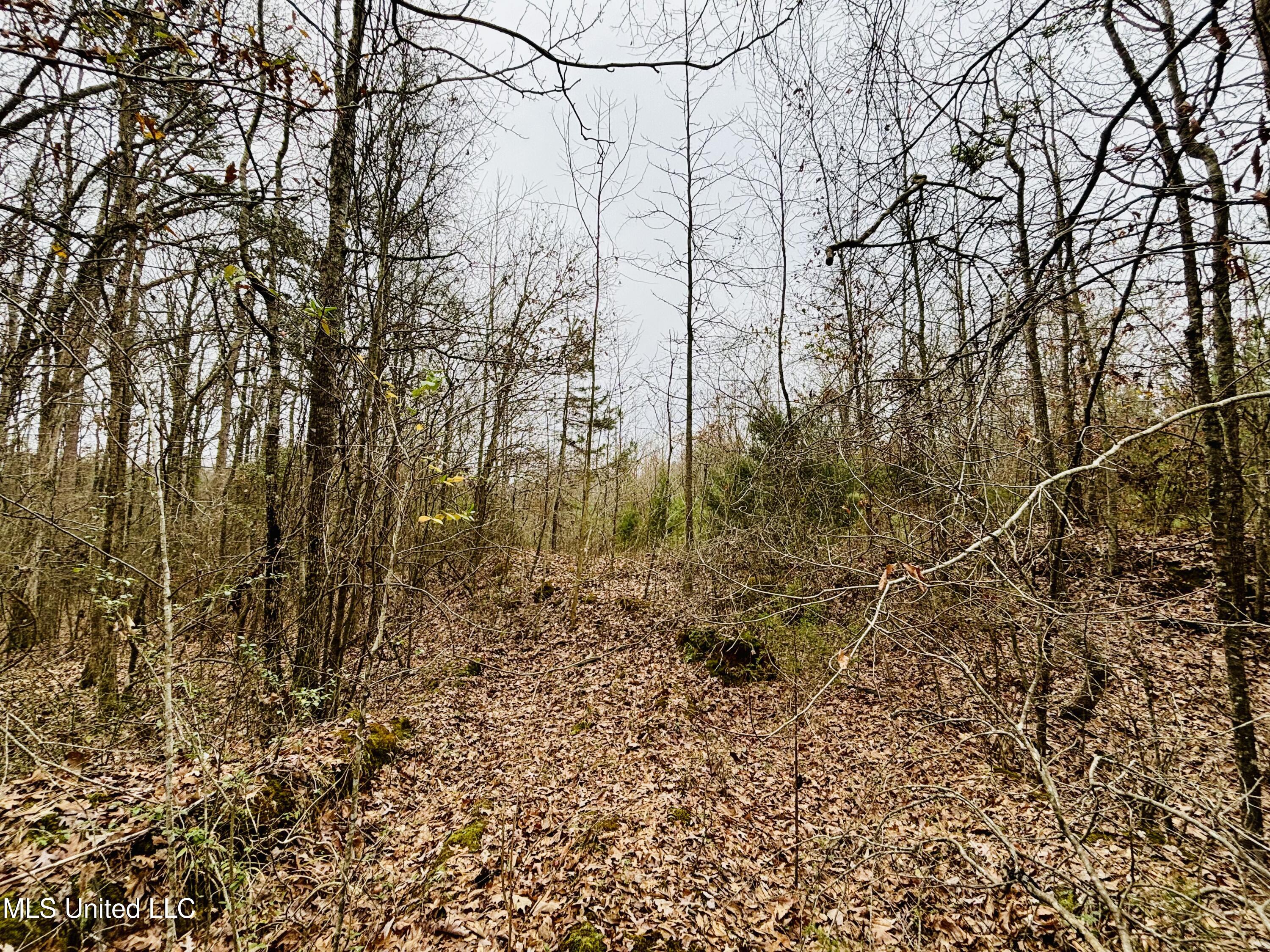 South Frontage Rd, Winona, Mississippi image 9