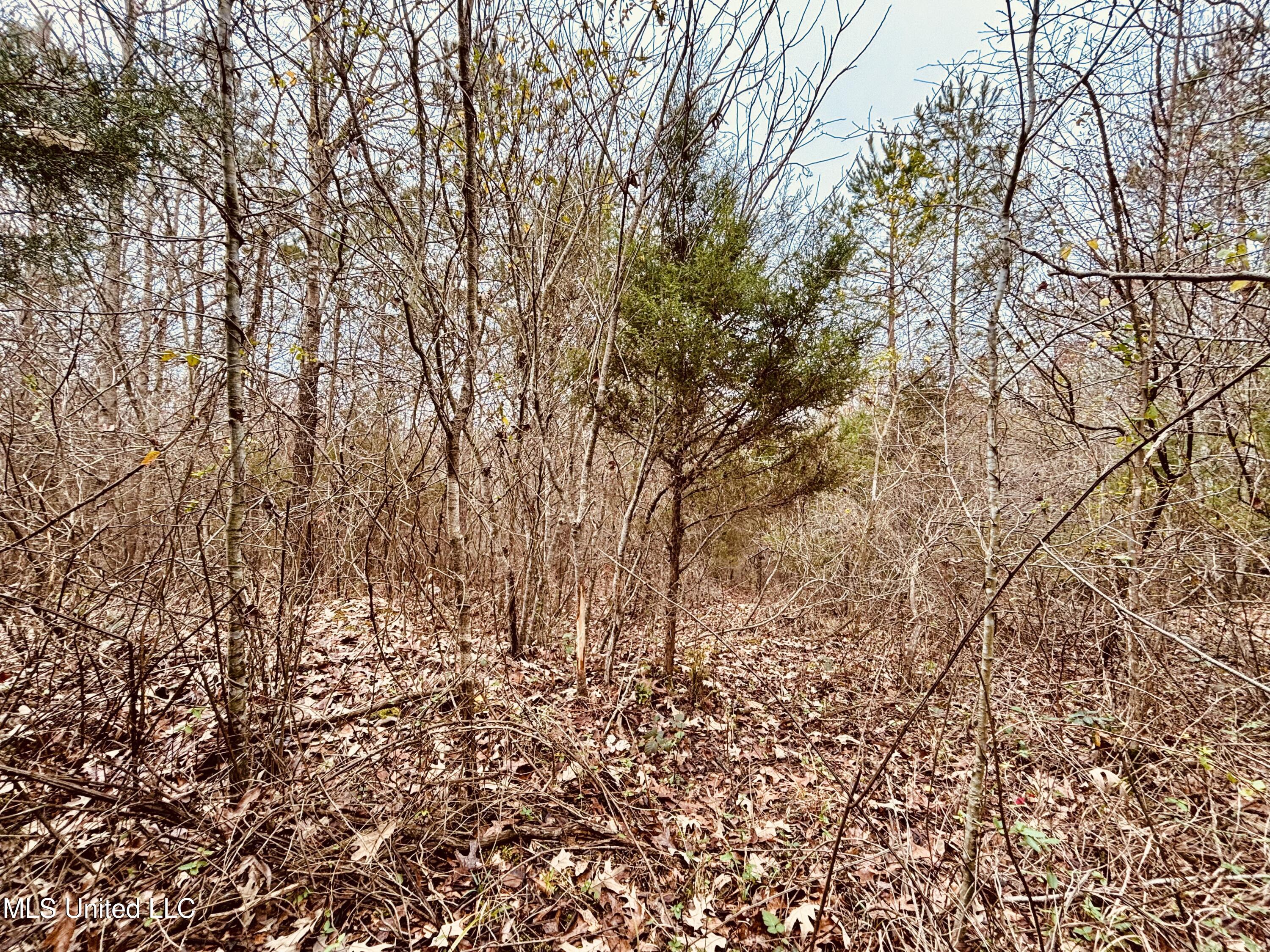 South Frontage Rd, Winona, Mississippi image 7