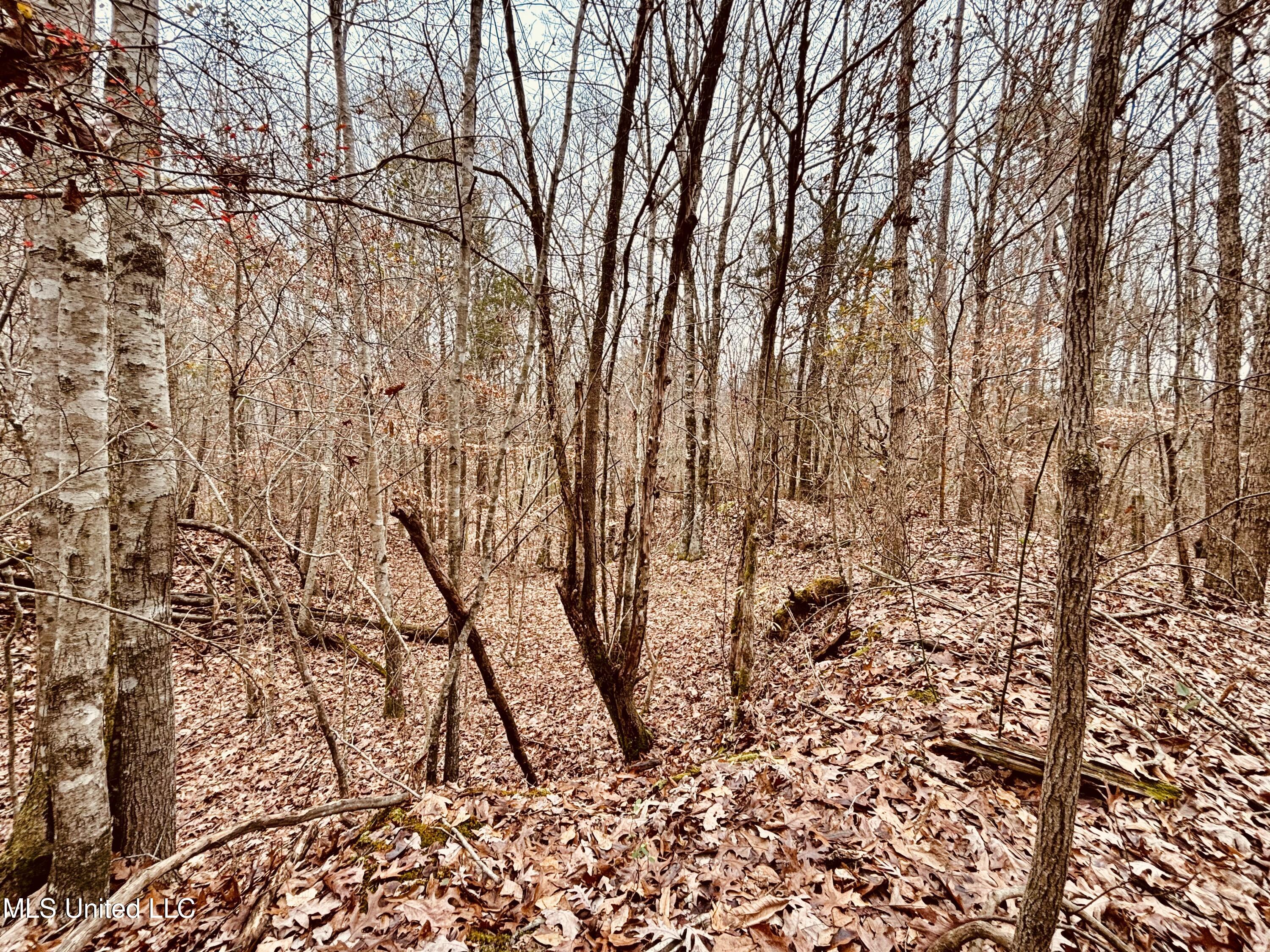 South Frontage Rd, Winona, Mississippi image 8