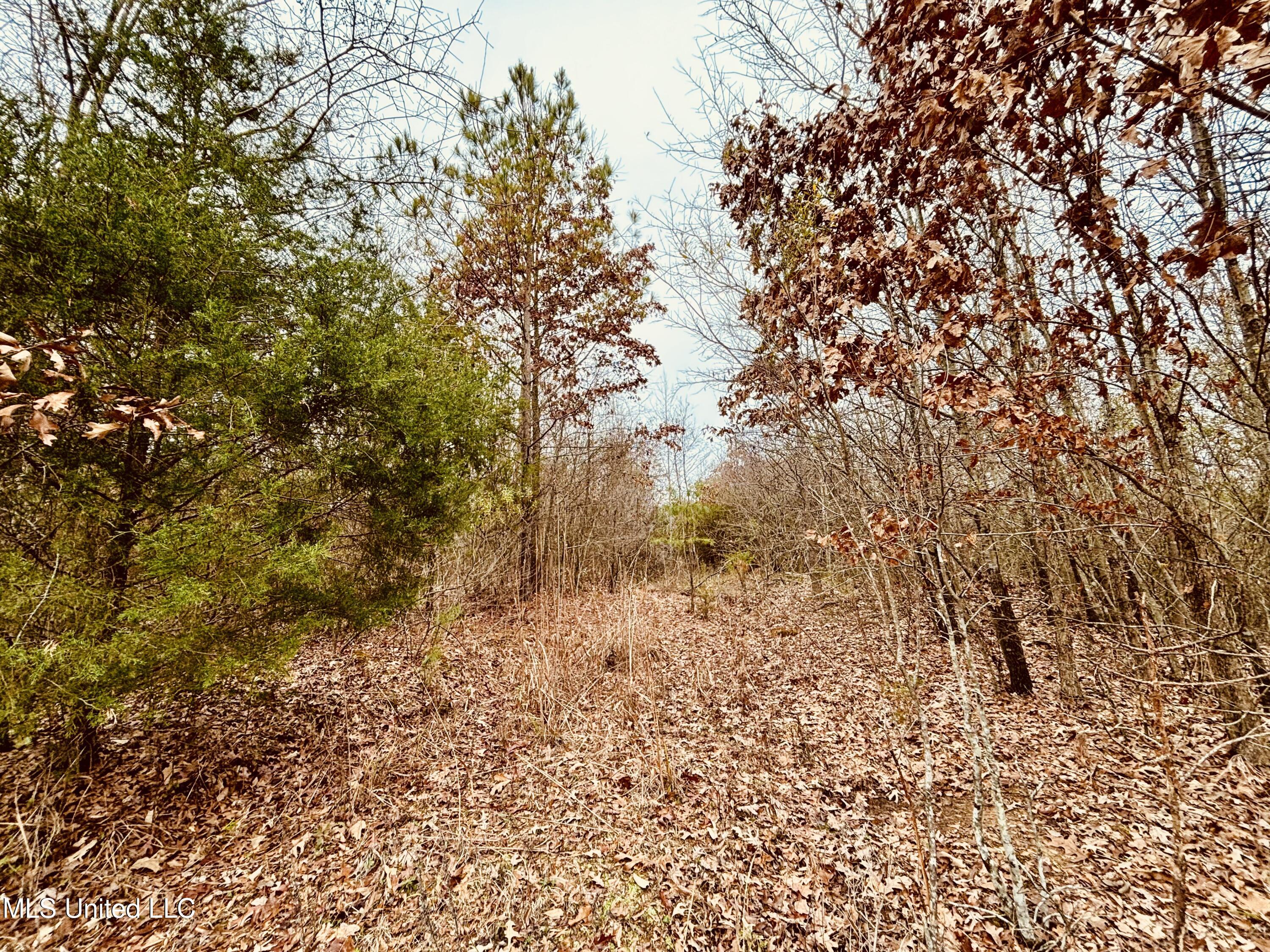 South Frontage Rd, Winona, Mississippi image 6