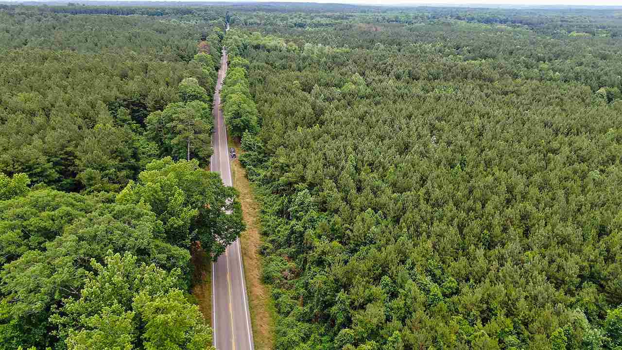 02 Highway 28, Mize, Mississippi image 7