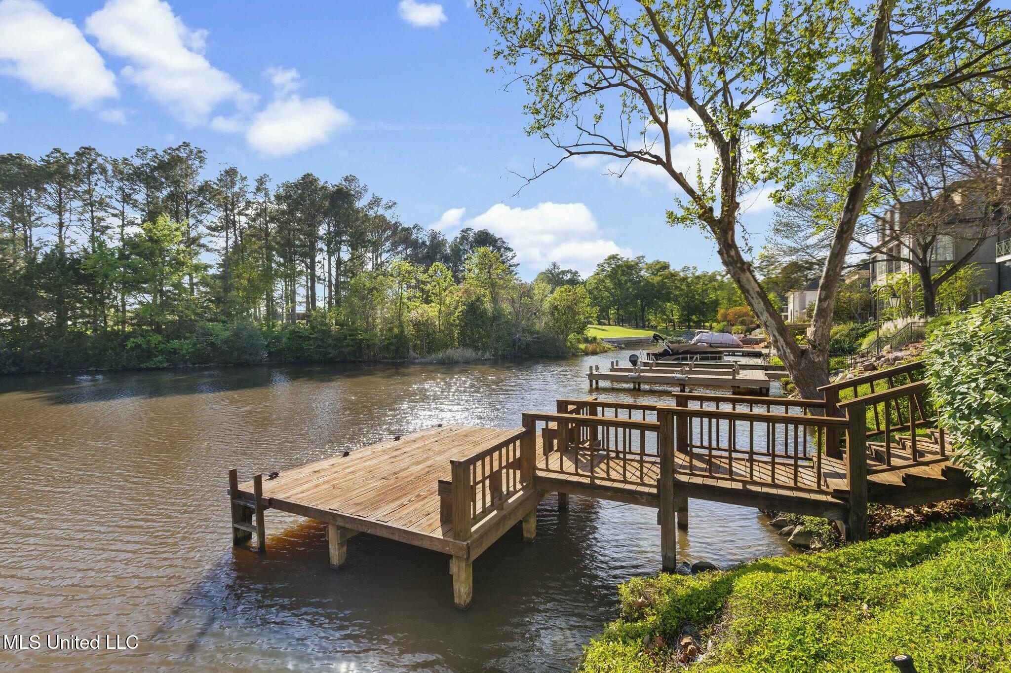 125 Overlook Pointe Drive #125, Ridgeland, Mississippi image 50