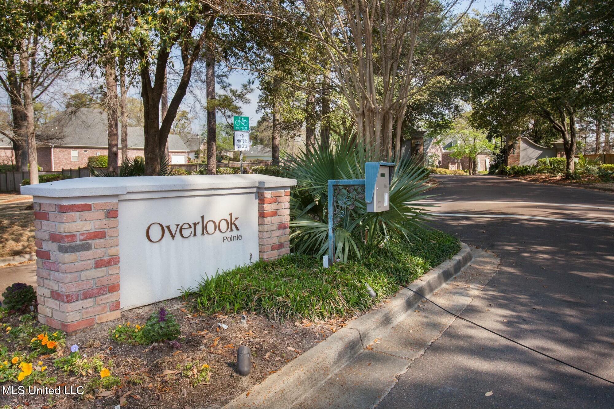125 Overlook Pointe Drive #125, Ridgeland, Mississippi image 43