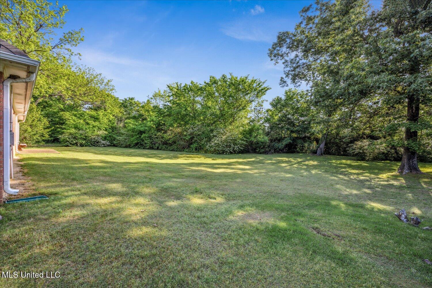 8018 S Horn Cove, Olive Branch, Mississippi image 22