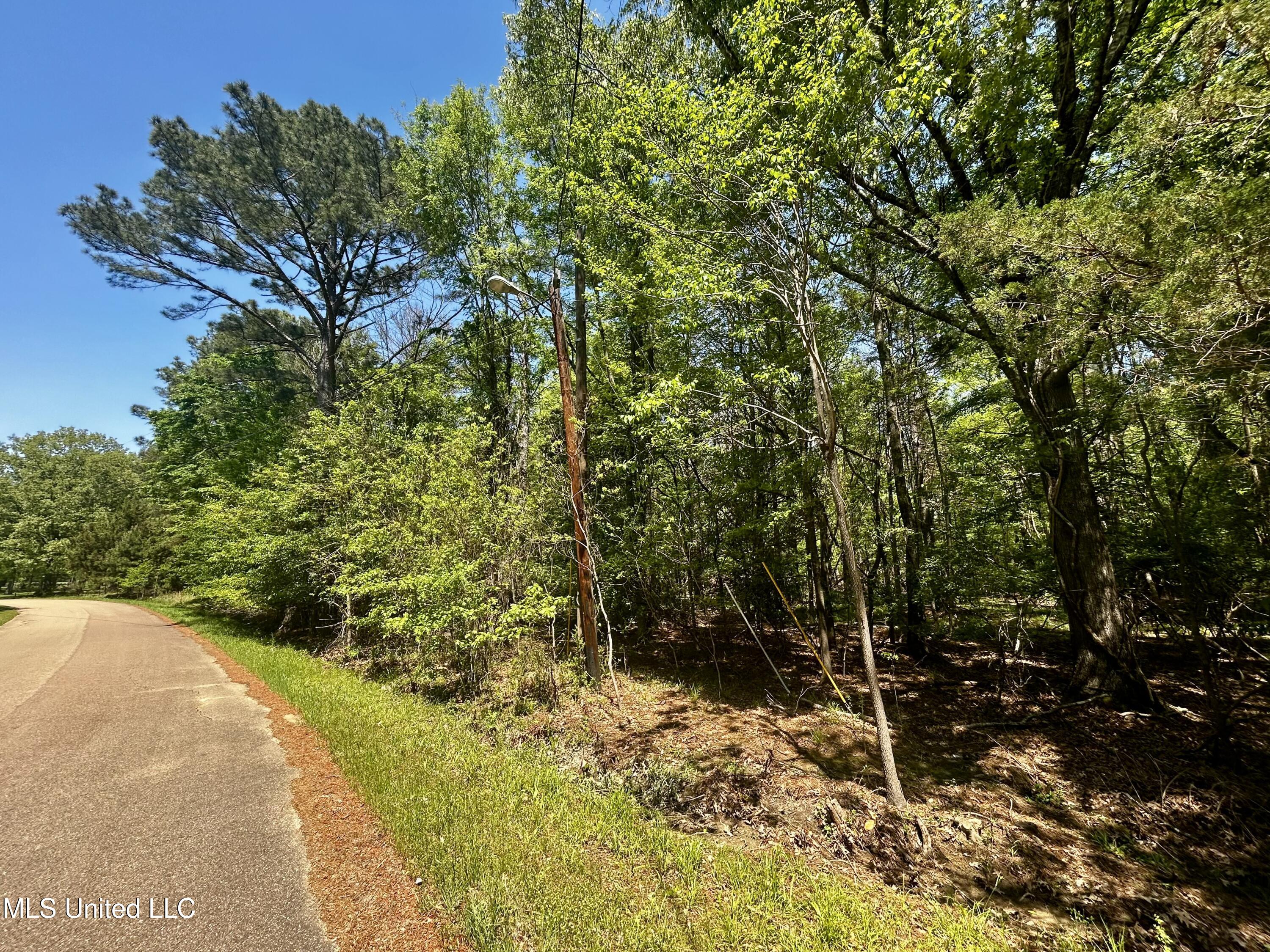 Sundial Road, Madison, Mississippi image 4