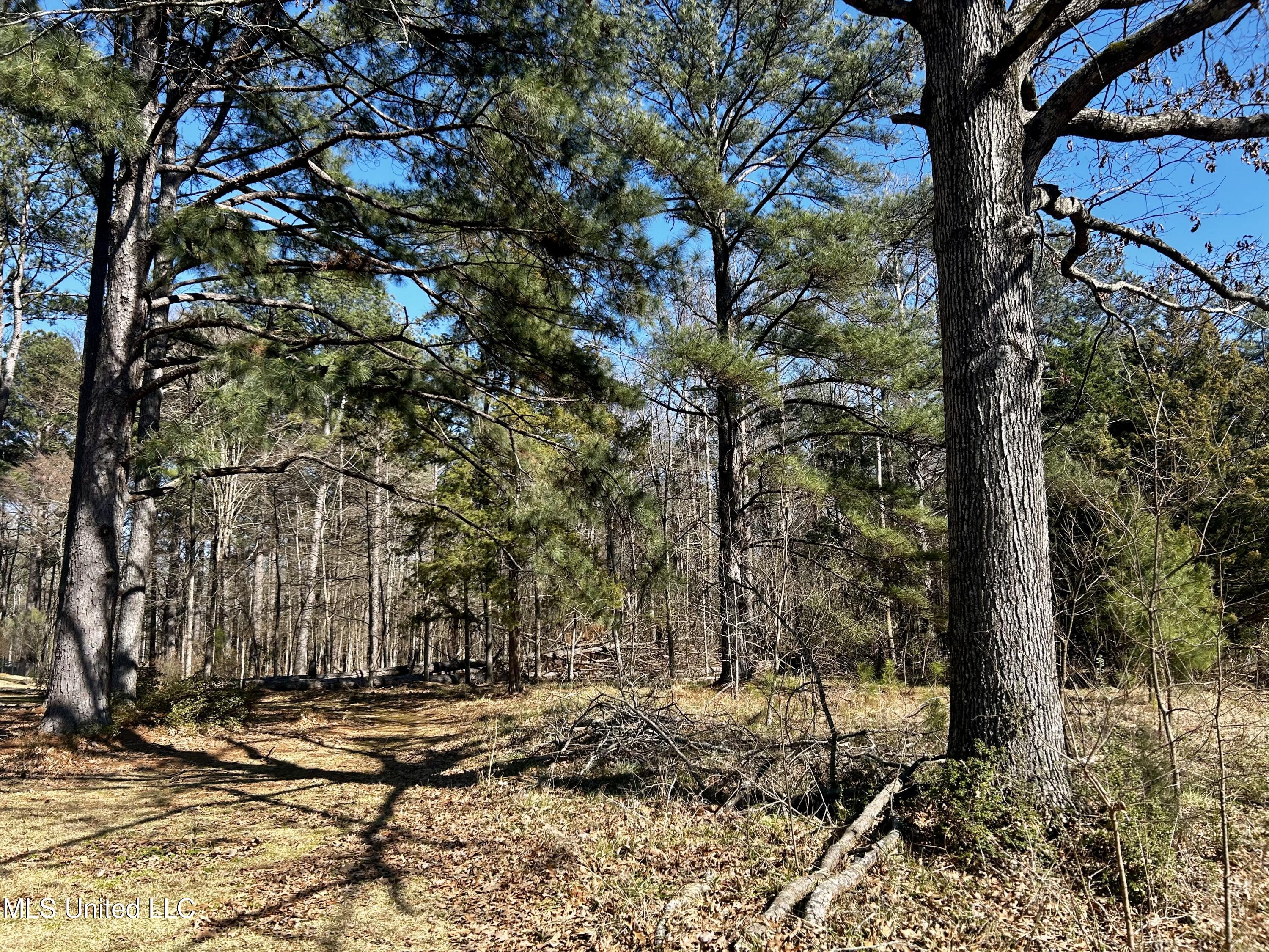 Sundial Road, Madison, Mississippi image 20