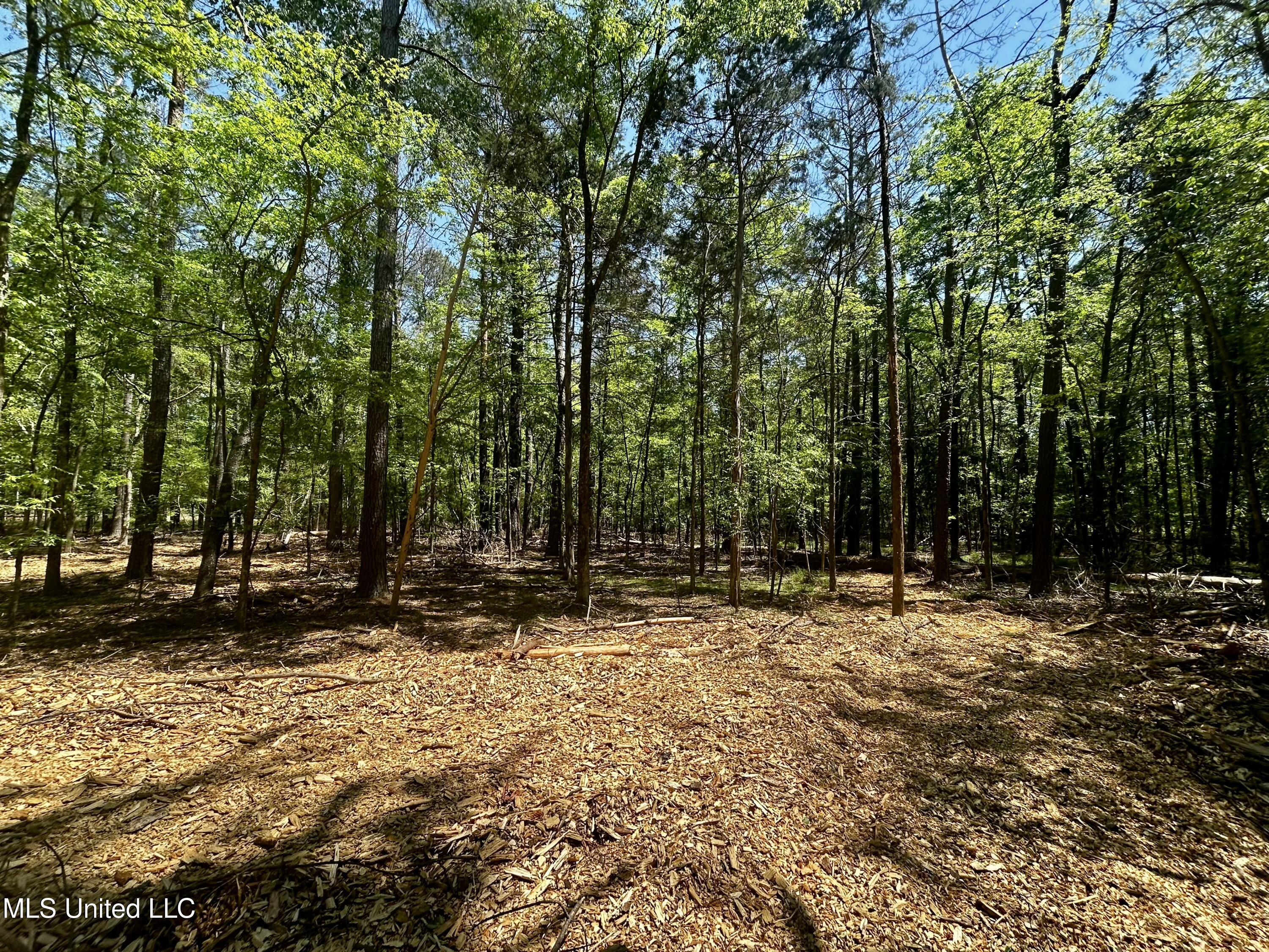Sundial Road, Madison, Mississippi image 11