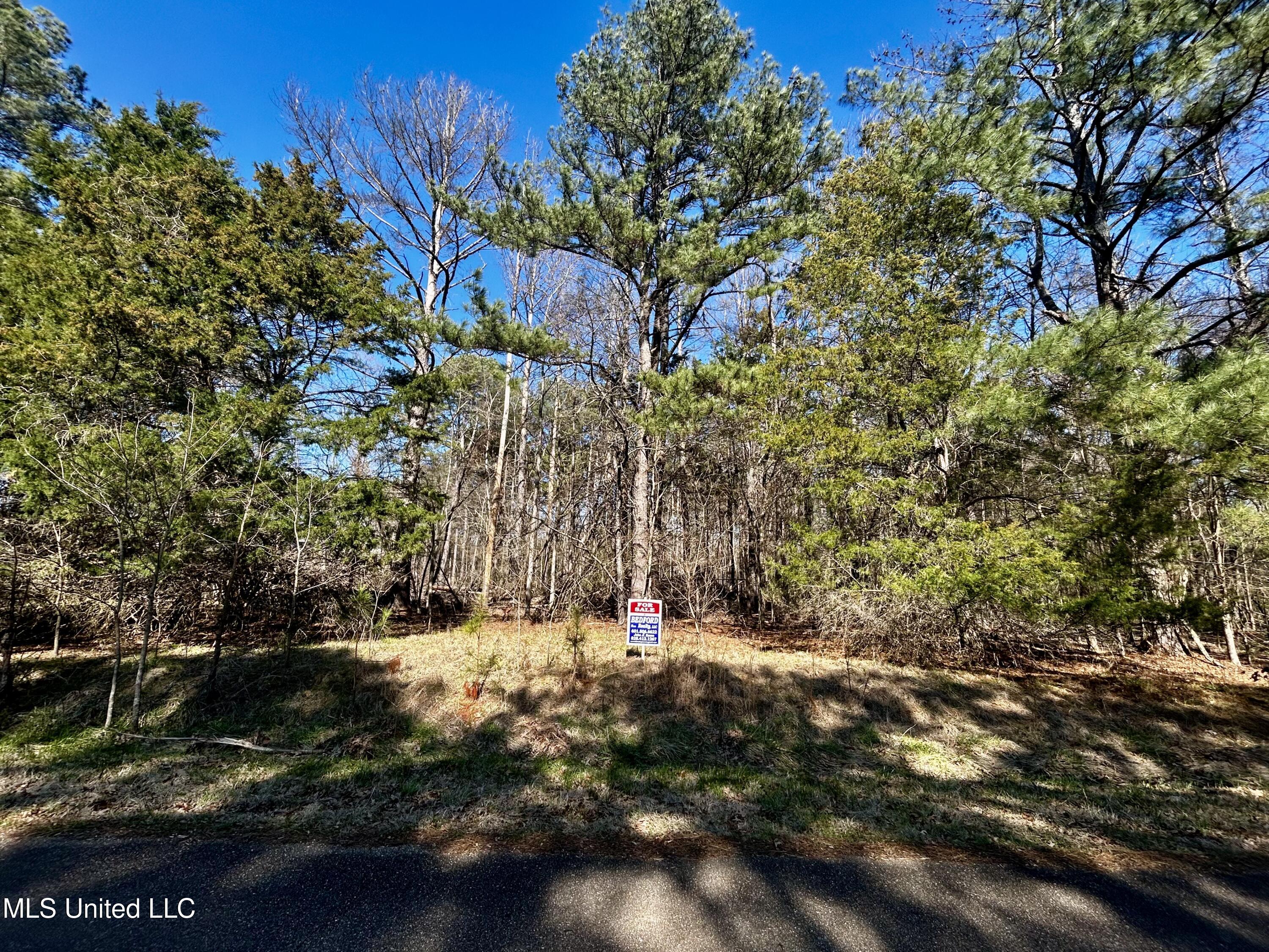 Sundial Road, Madison, Mississippi image 1