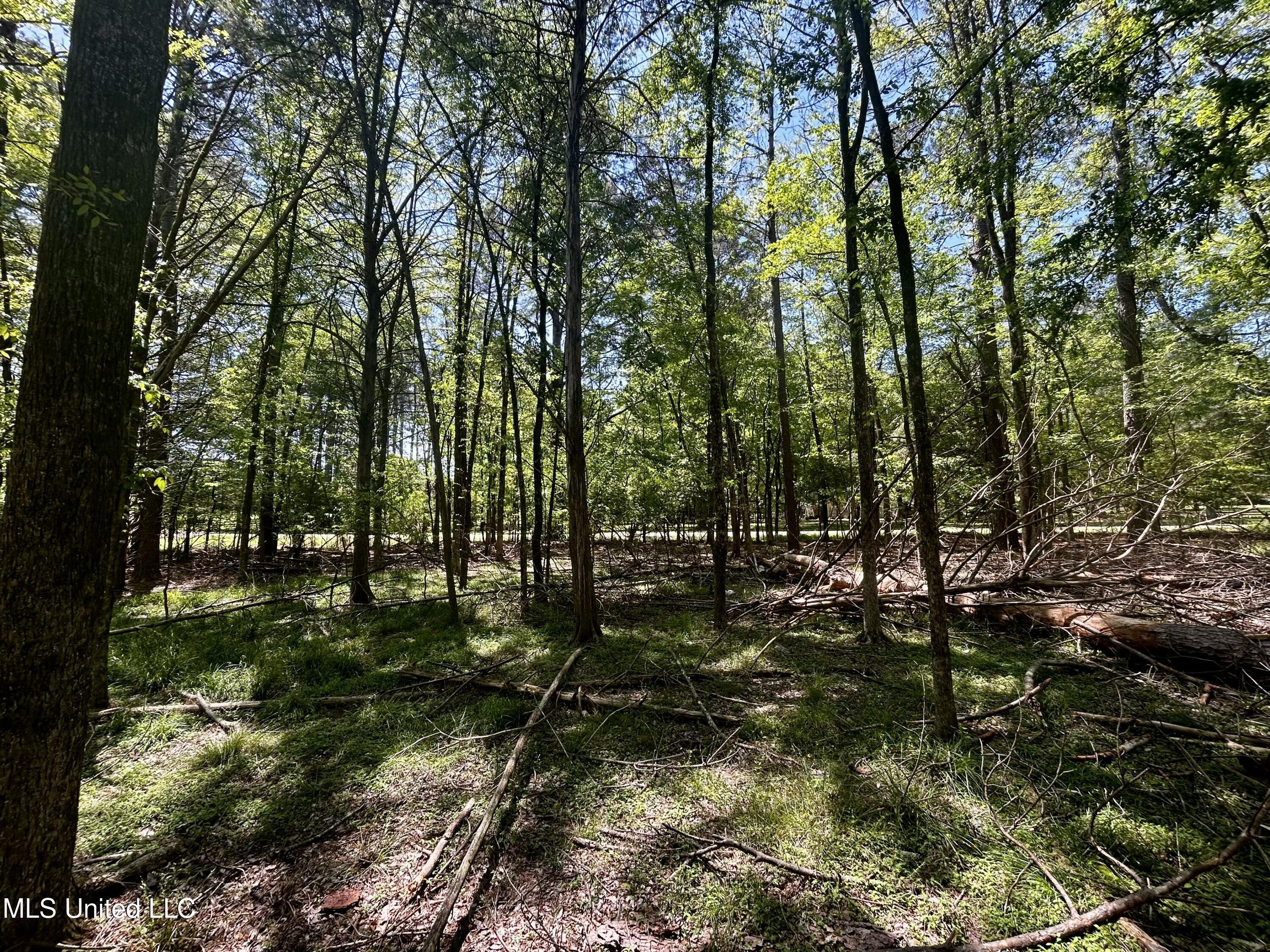 Sundial Road, Madison, Mississippi image 8