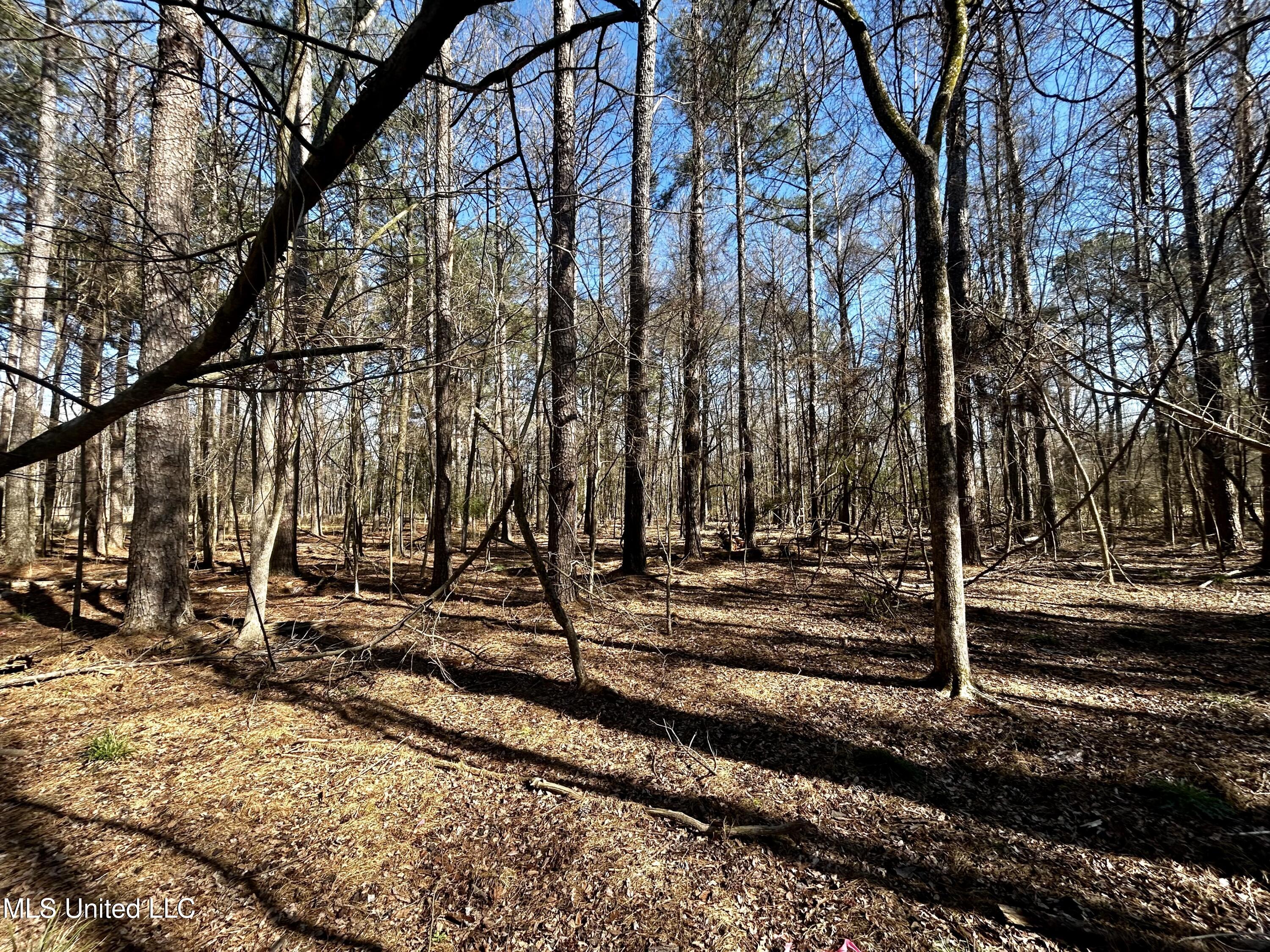 Sundial Road, Madison, Mississippi image 19