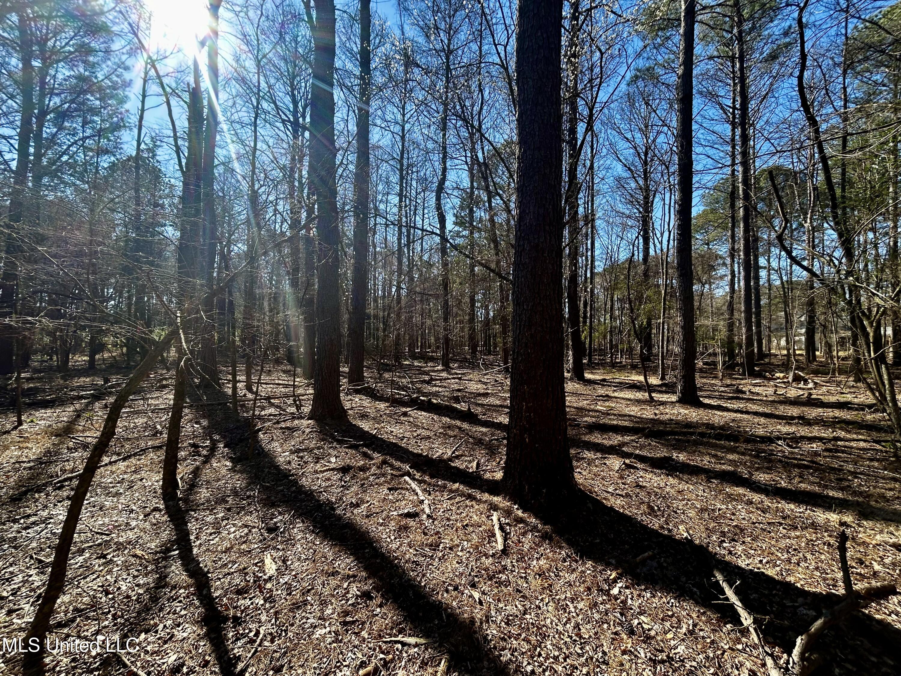 Sundial Road, Madison, Mississippi image 22