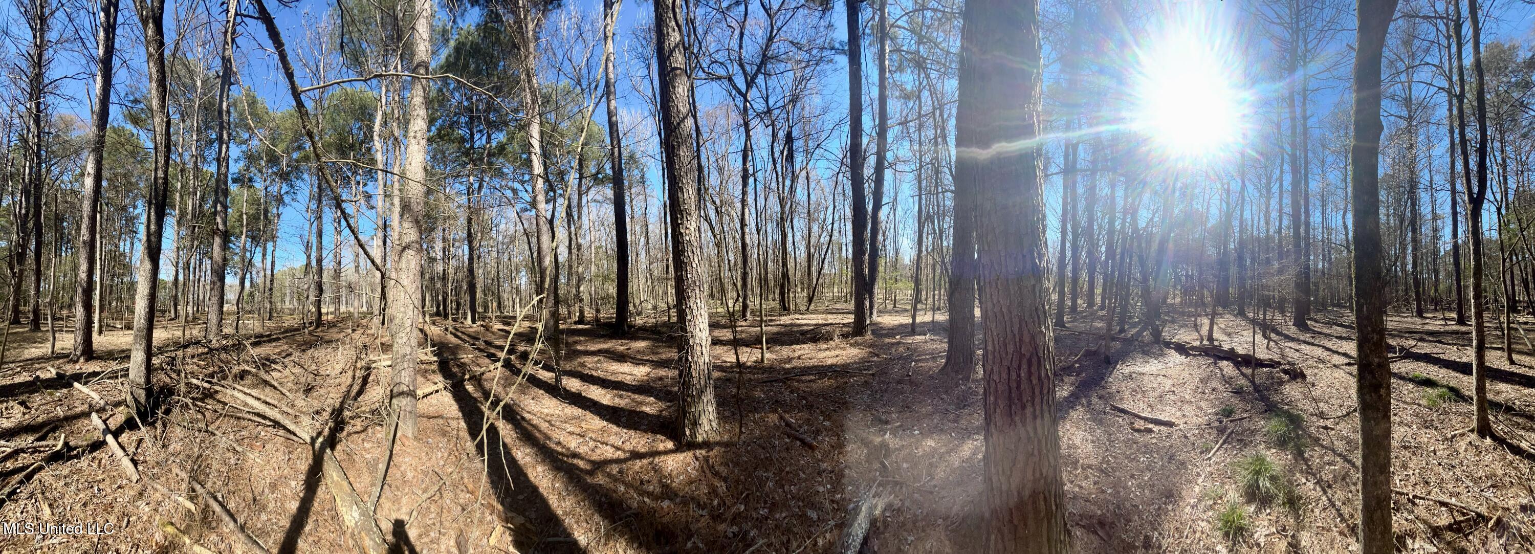 Sundial Road, Madison, Mississippi image 23