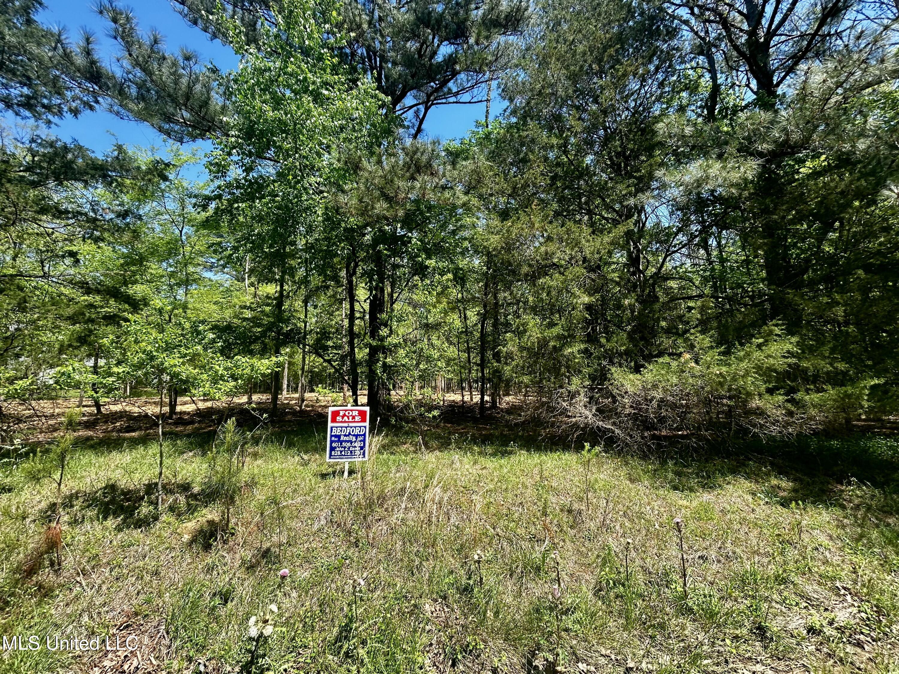 Sundial Road, Madison, Mississippi image 3