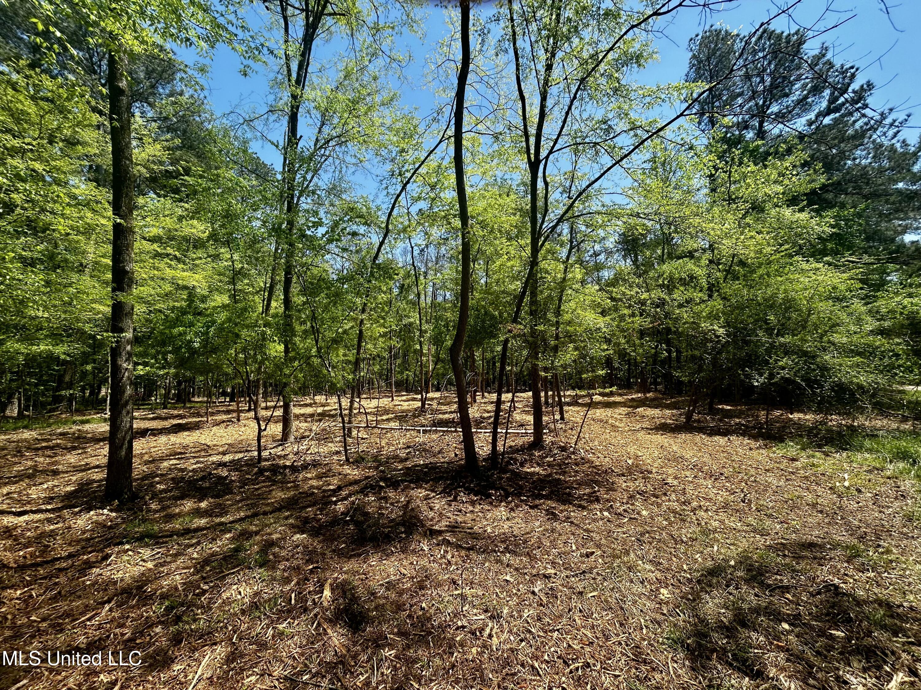 Sundial Road, Madison, Mississippi image 14