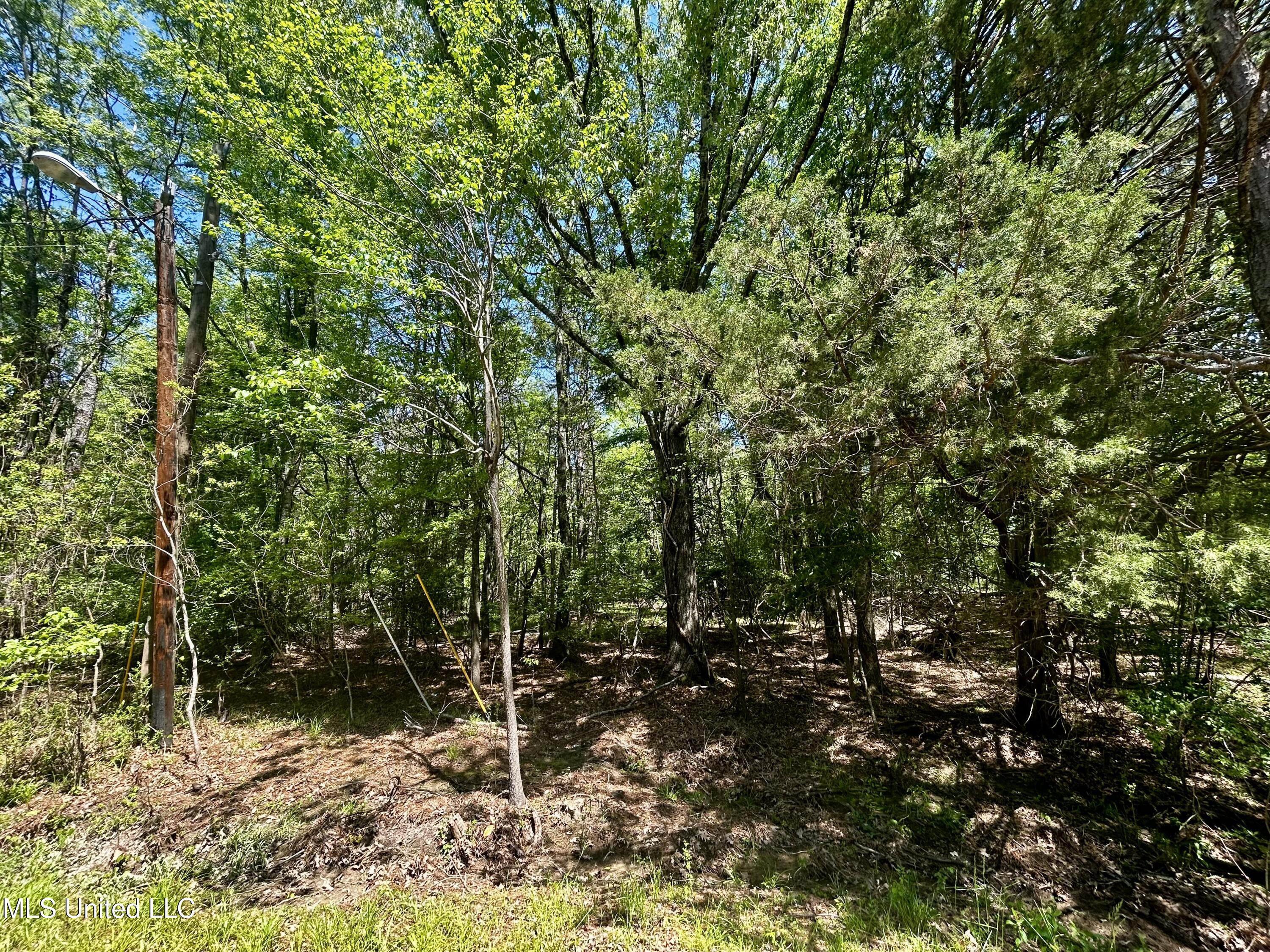 Sundial Road, Madison, Mississippi image 5