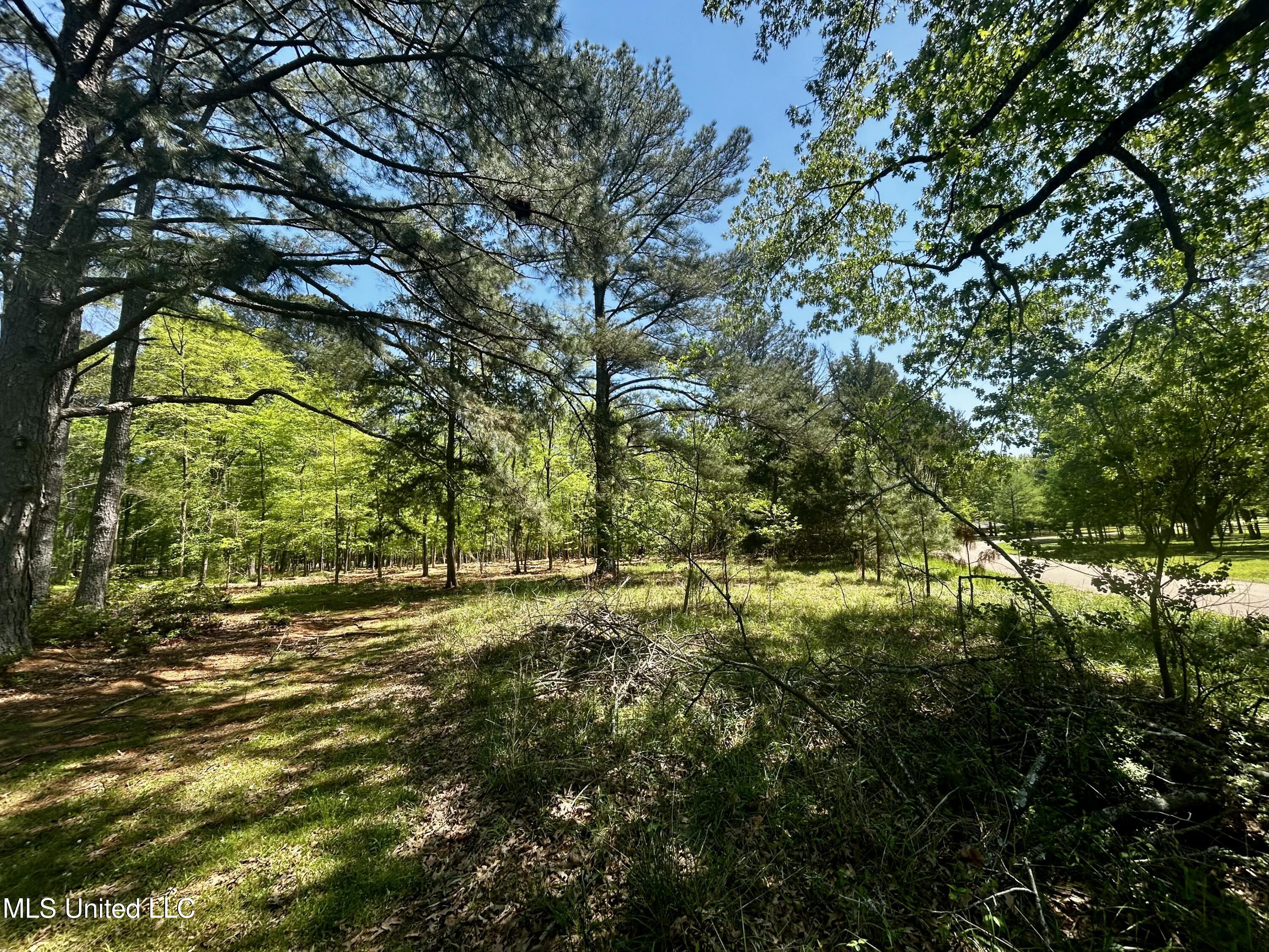 Sundial Road, Madison, Mississippi image 16