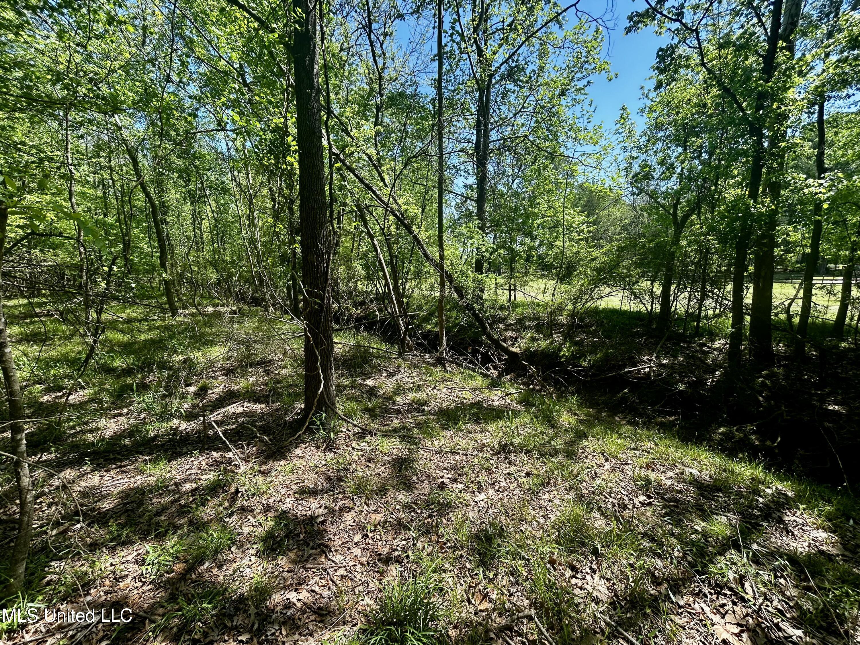 Sundial Road, Madison, Mississippi image 2