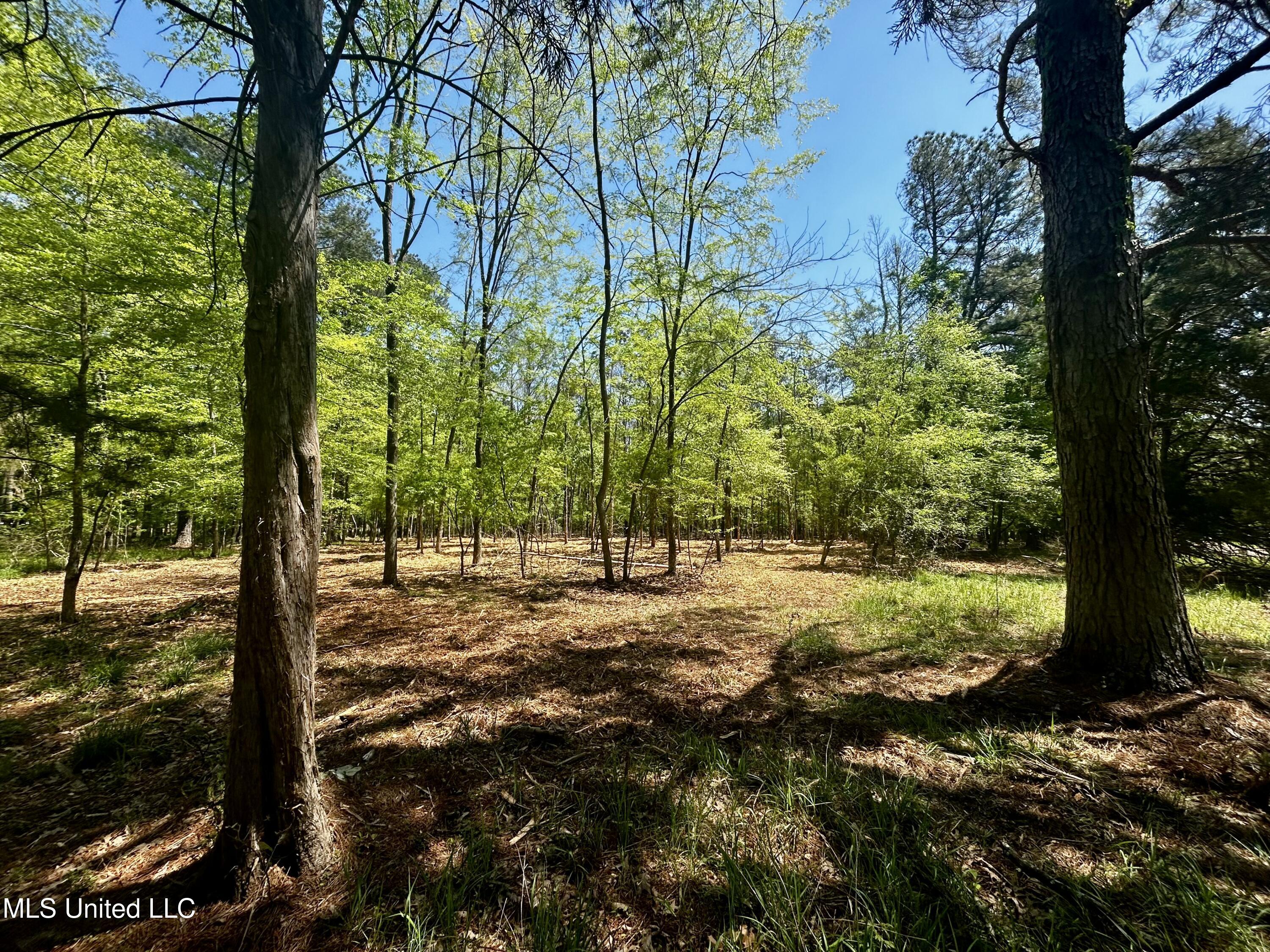 Sundial Road, Madison, Mississippi image 15