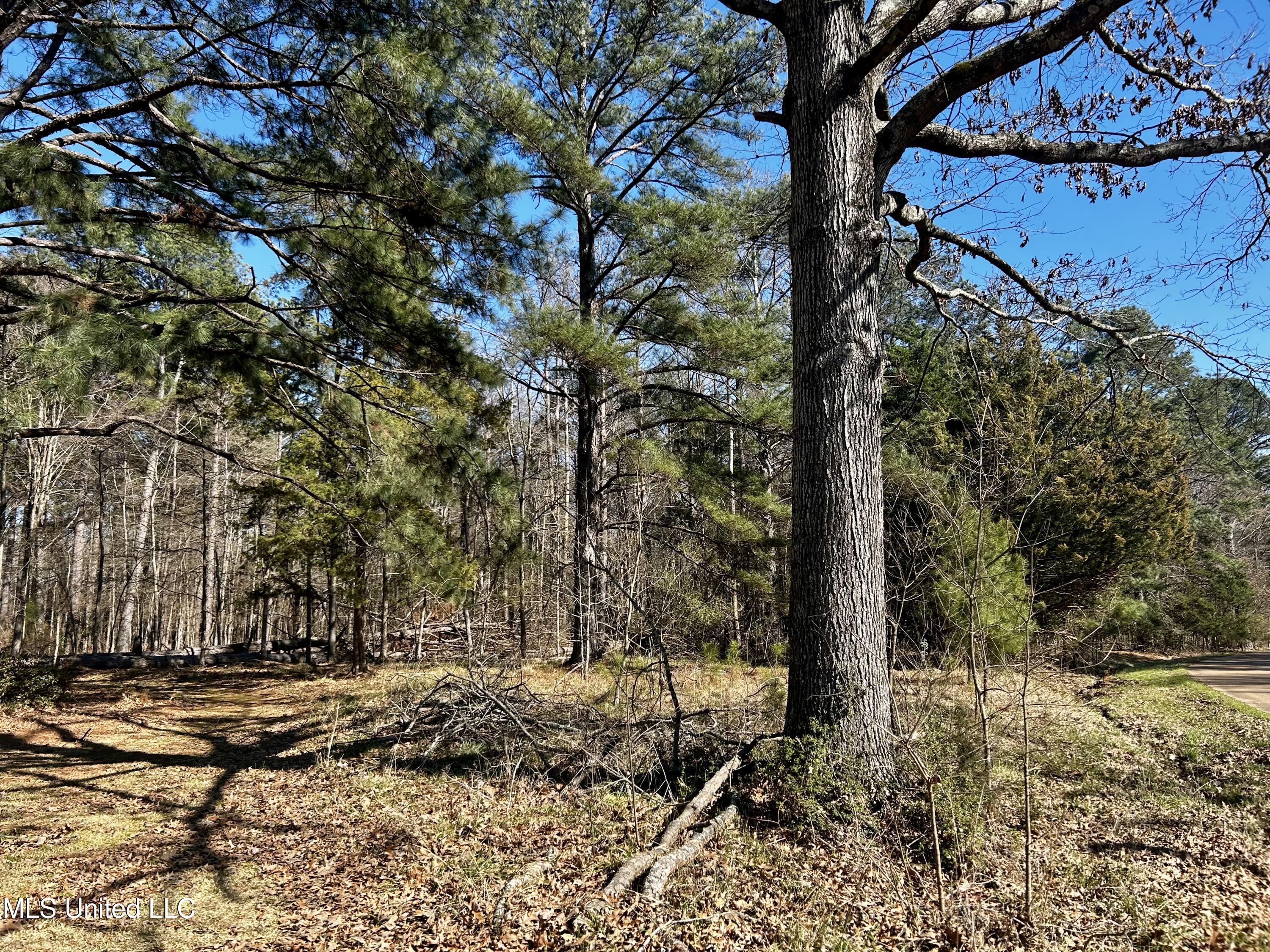 Sundial Road, Madison, Mississippi image 12