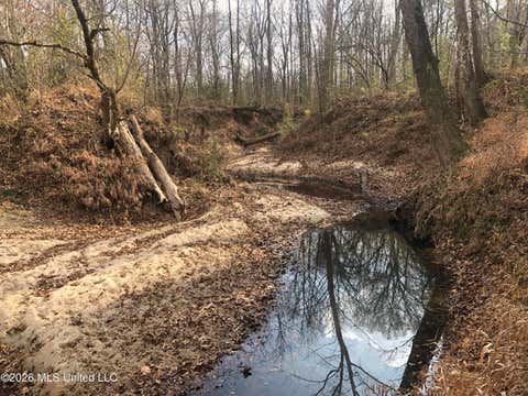 Vacant Land For Sale - Tommy Ford Road<br/> Hinds County, Utica, MS 39175