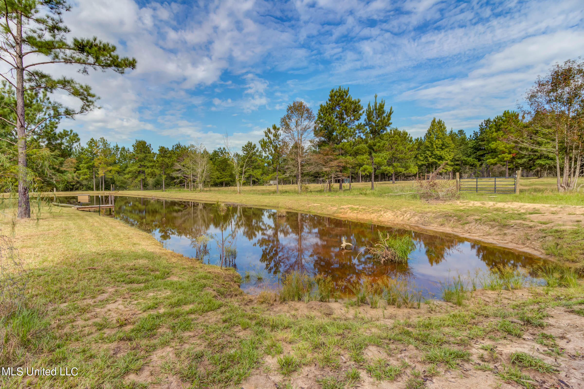 112 Wolf Branch Road, Perkinston, Mississippi image 40