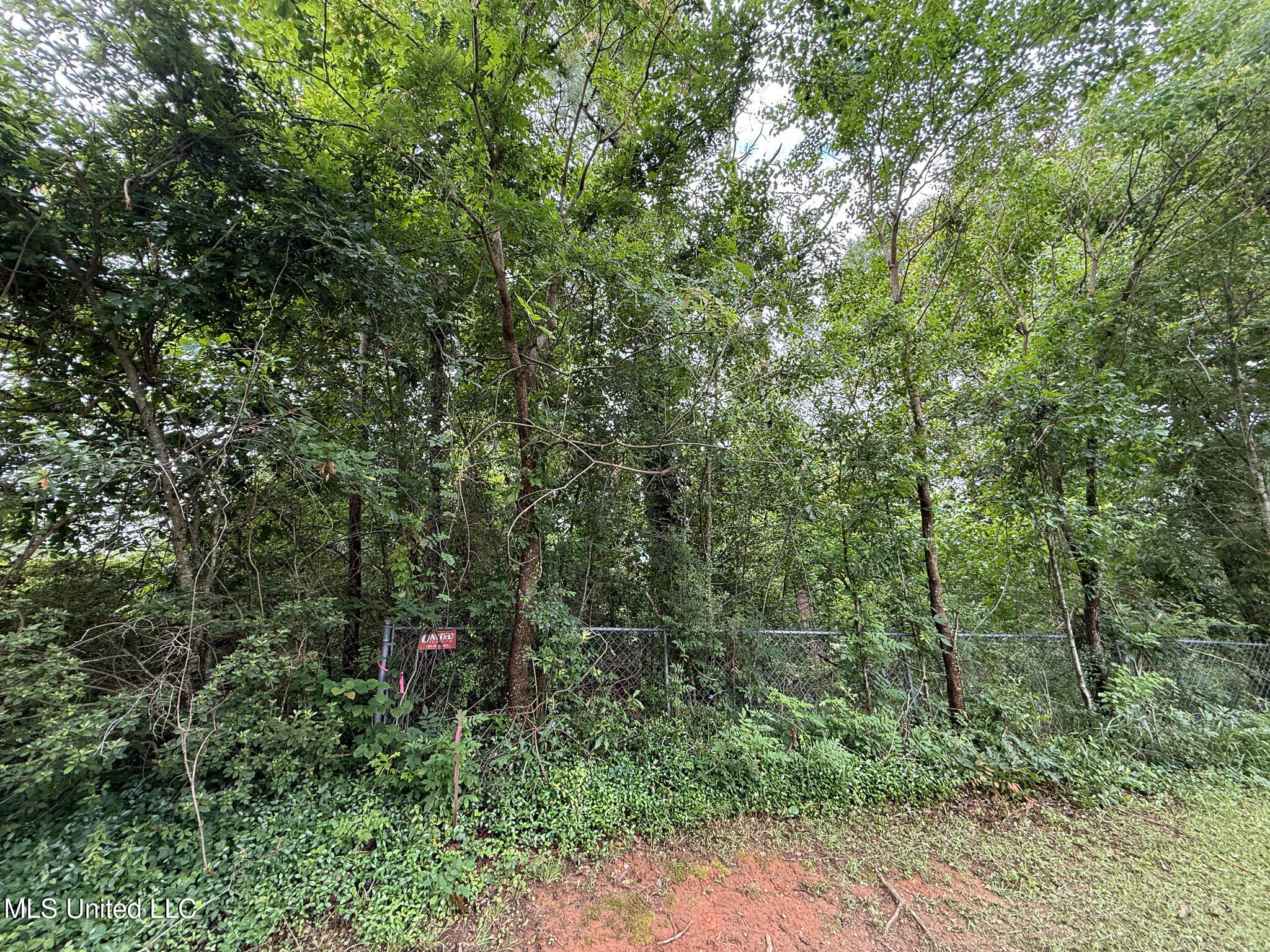 Lot On Hillcrest Lane, Purvis, Mississippi image 8