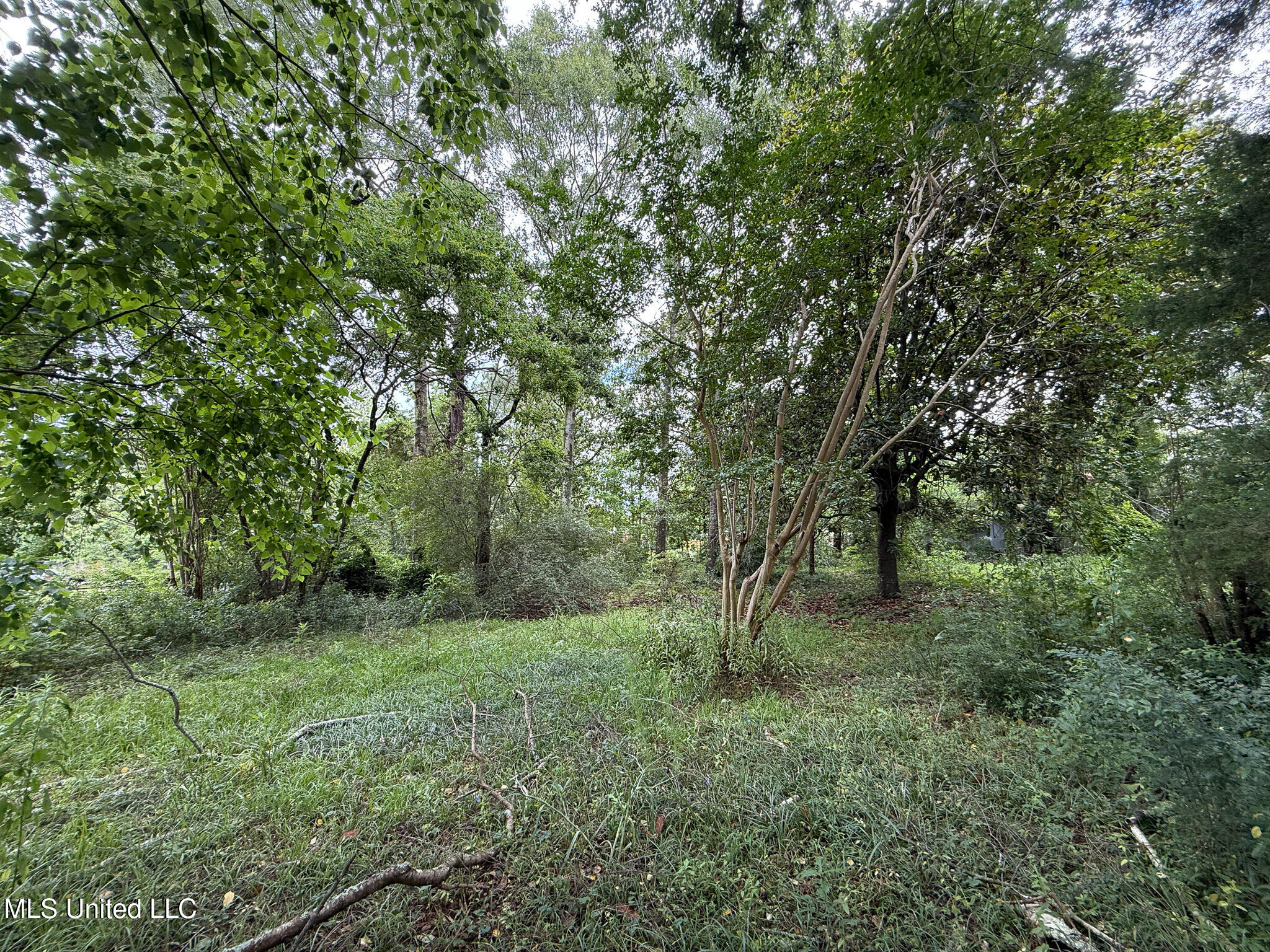 Lot On Hillcrest Lane, Purvis, Mississippi image 11