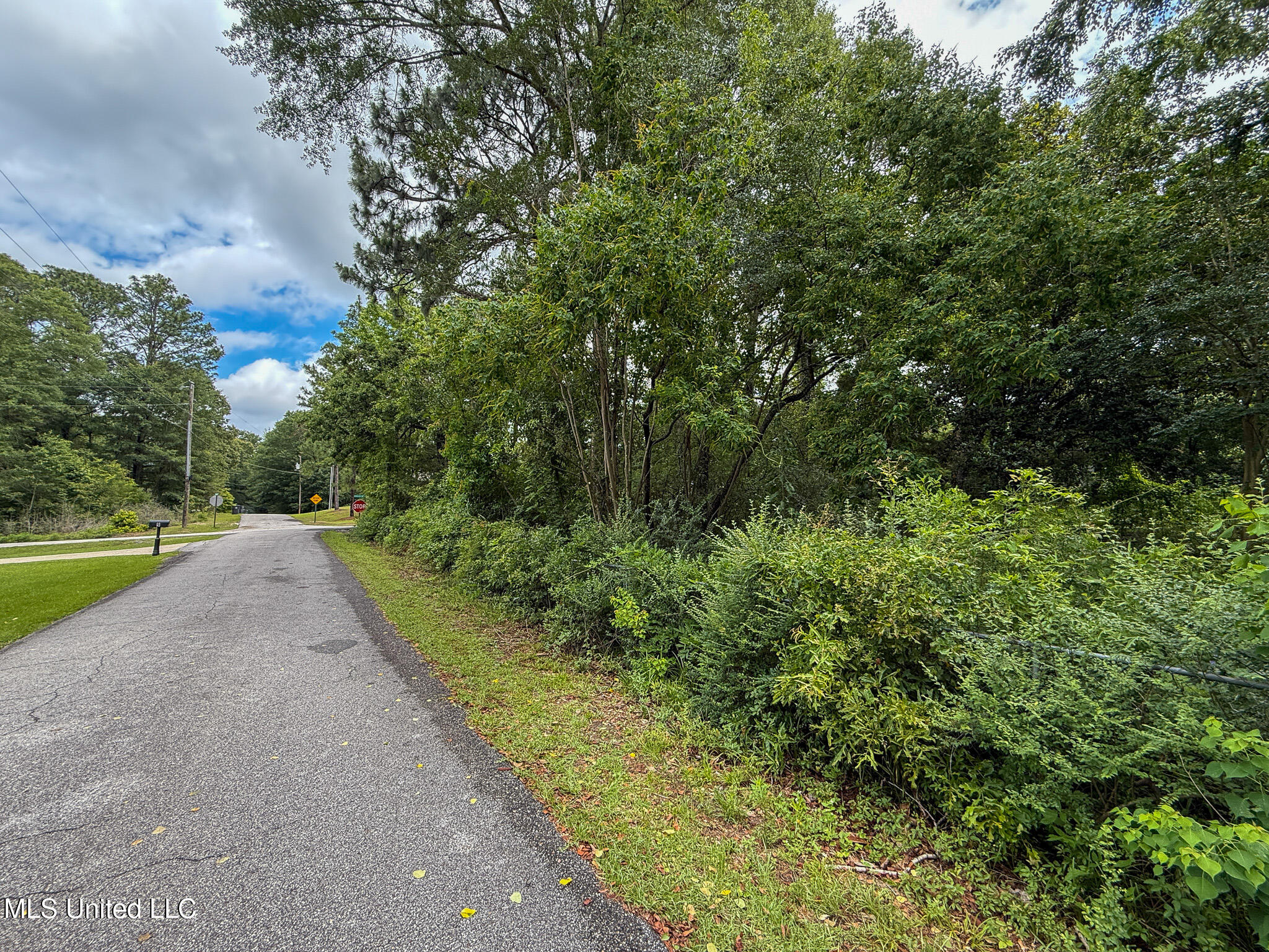 Lot On Hillcrest Lane, Purvis, Mississippi image 2