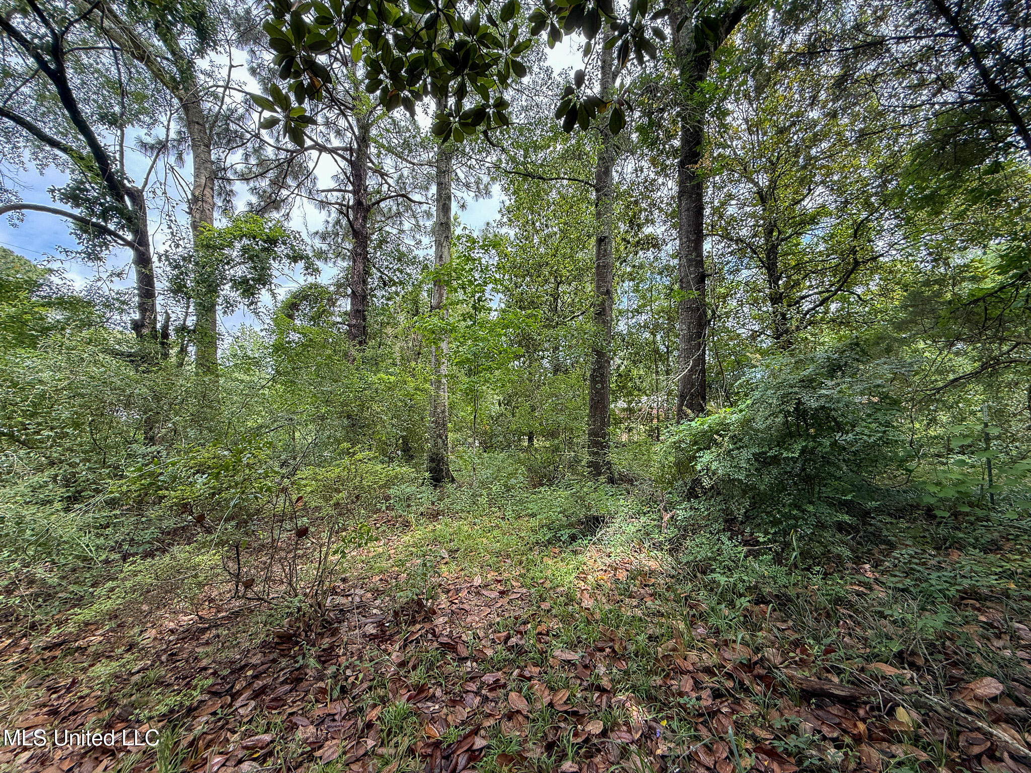 Lot On Hillcrest Lane, Purvis, Mississippi image 13