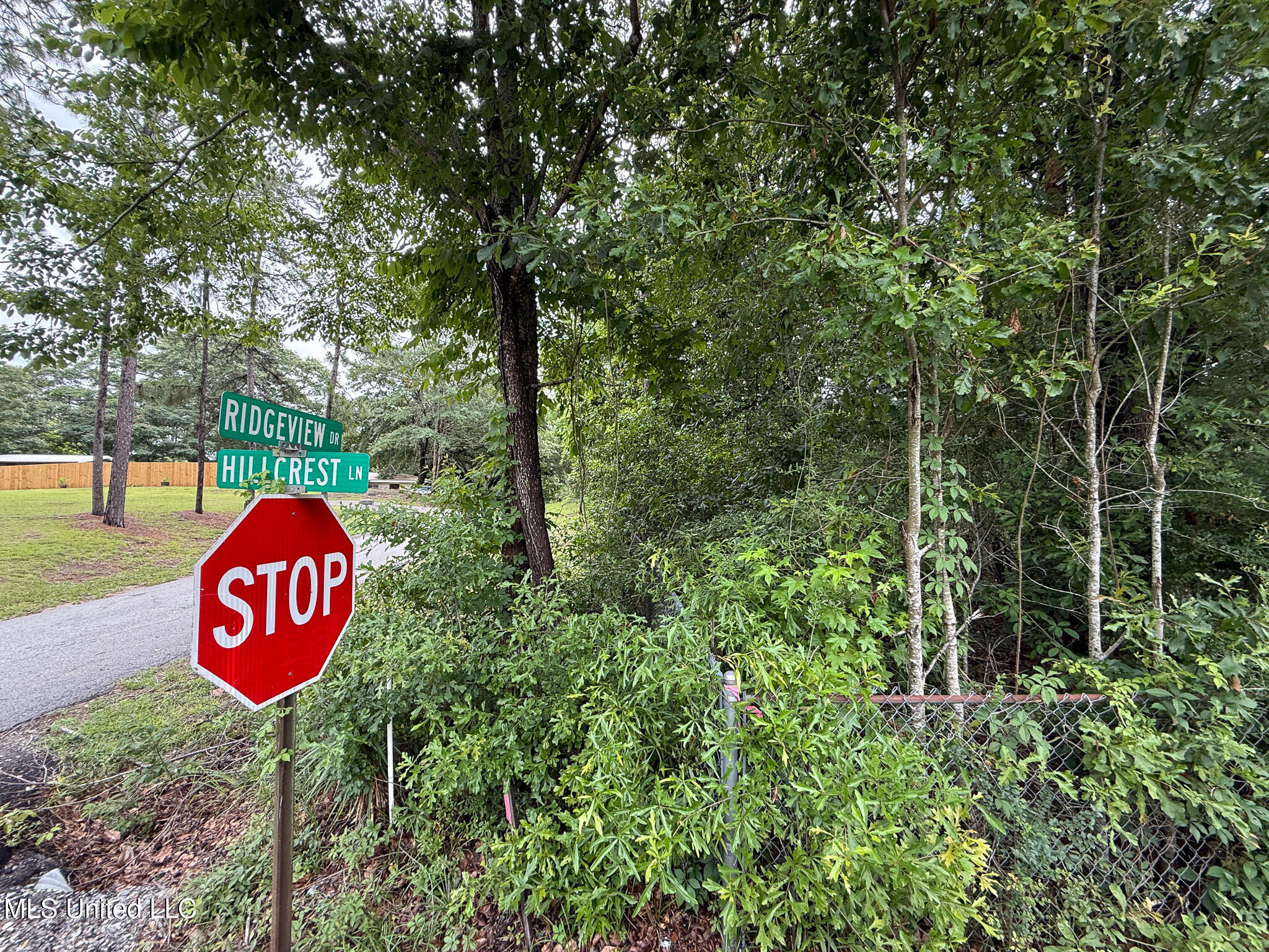 Lot On Hillcrest Lane, Purvis, Mississippi image 5