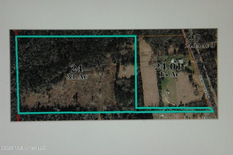 Vacant Land For Sale - TBD Henry Lee Lane<br/> Foxworth, MS 39483