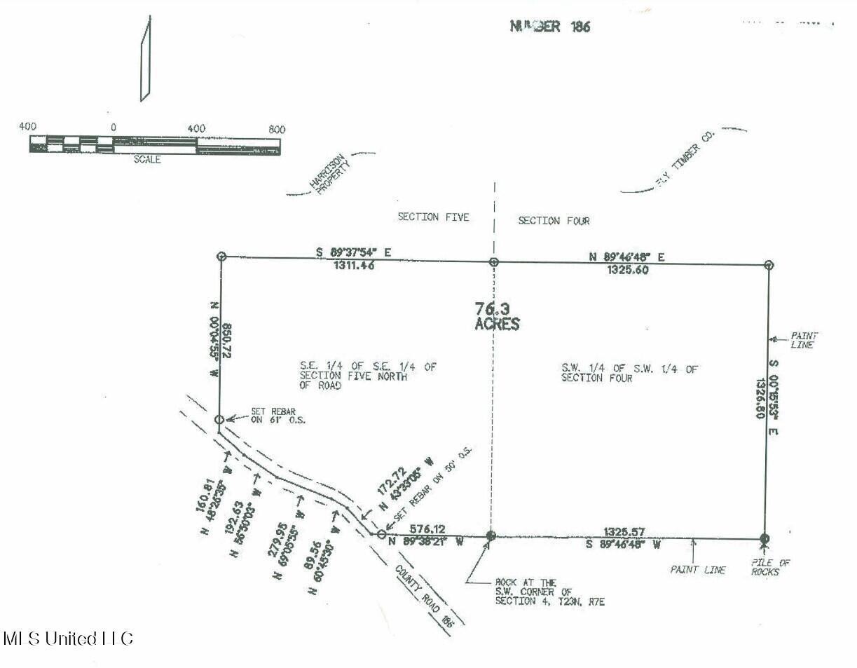 County Road 186, Coffeeville, Mississippi image 5