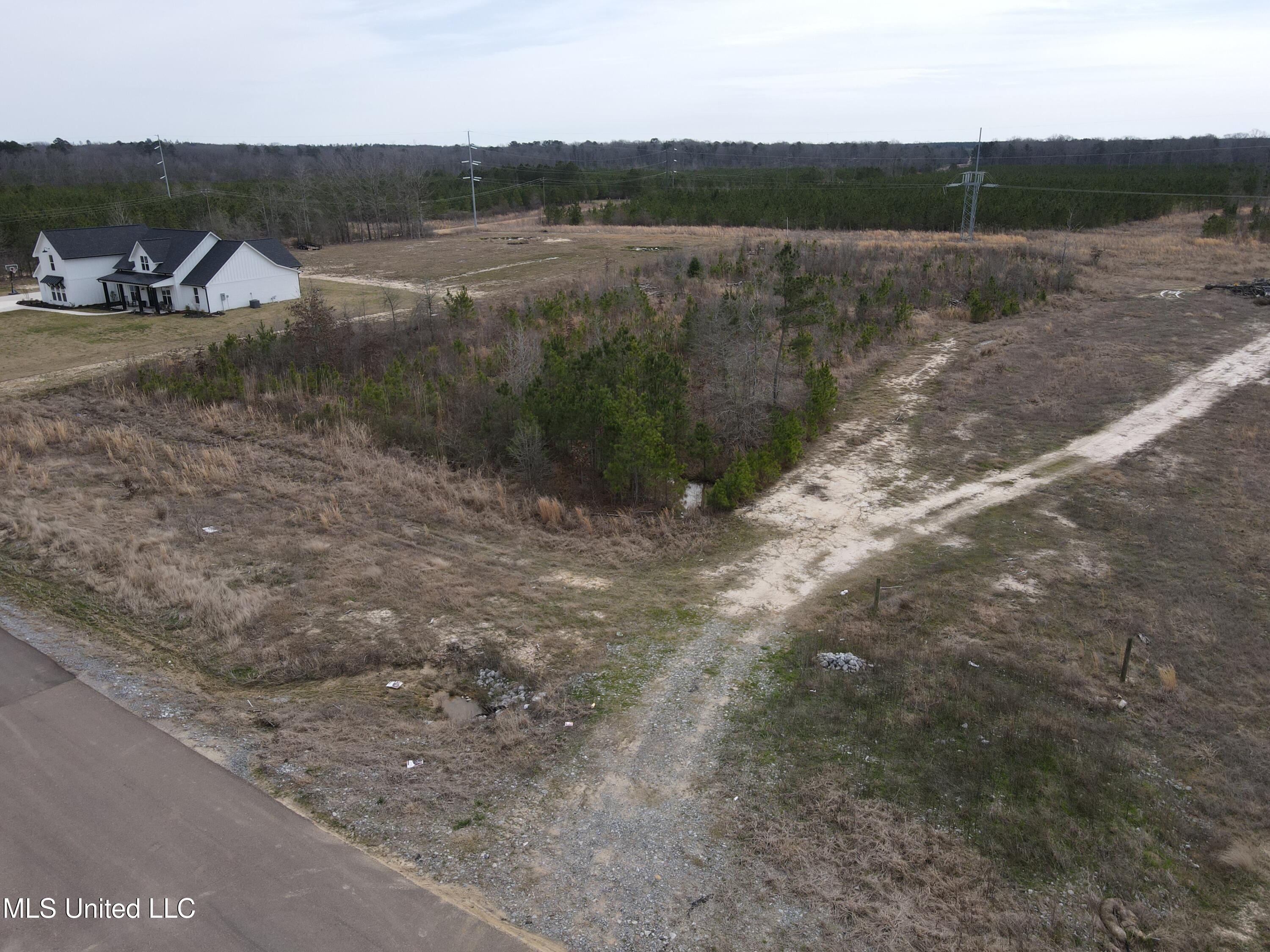 Stump Ridge Road, Brandon, Mississippi image 8