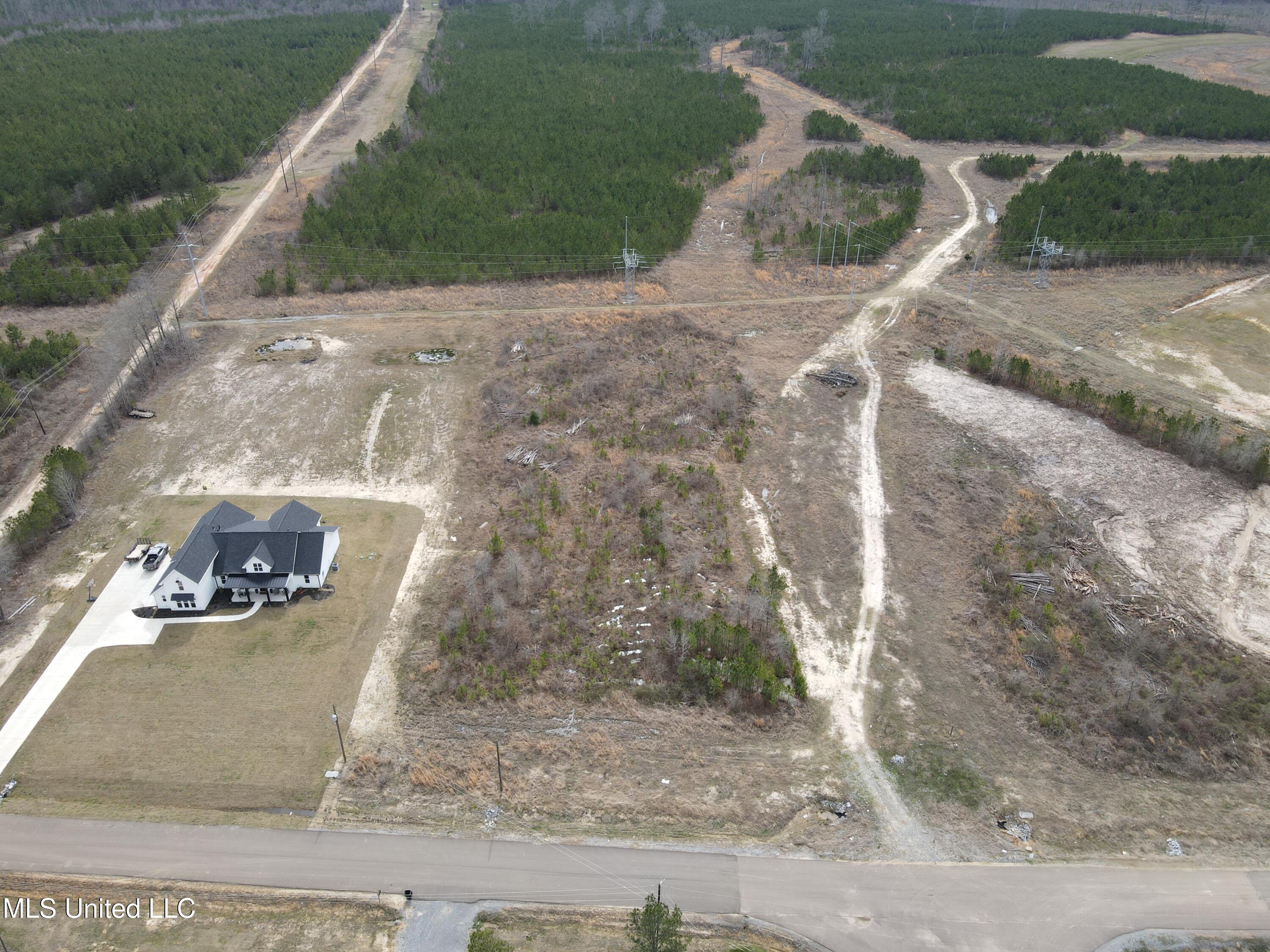 Stump Ridge Road, Brandon, Mississippi image 3