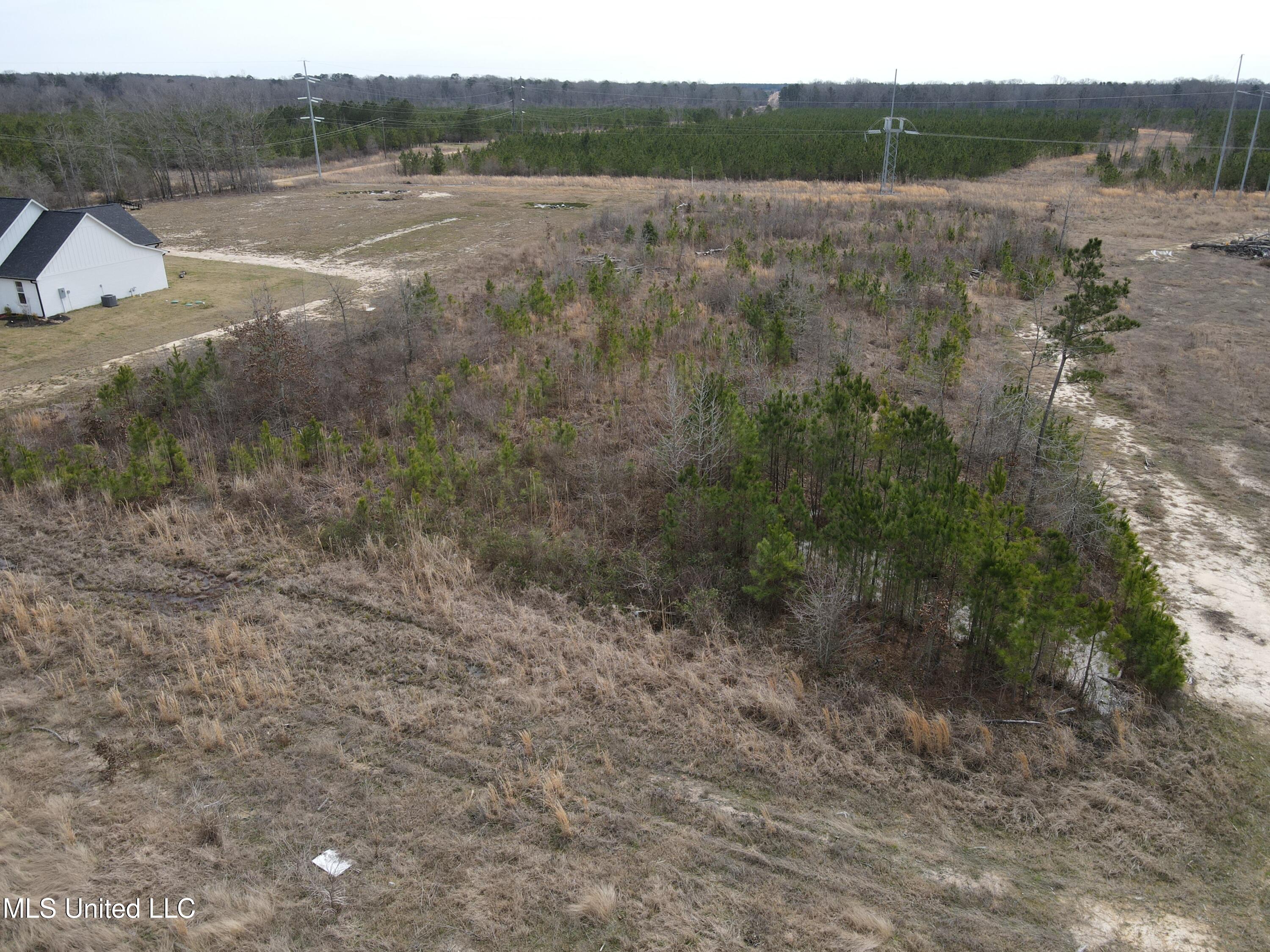Stump Ridge Road, Brandon, Mississippi image 19
