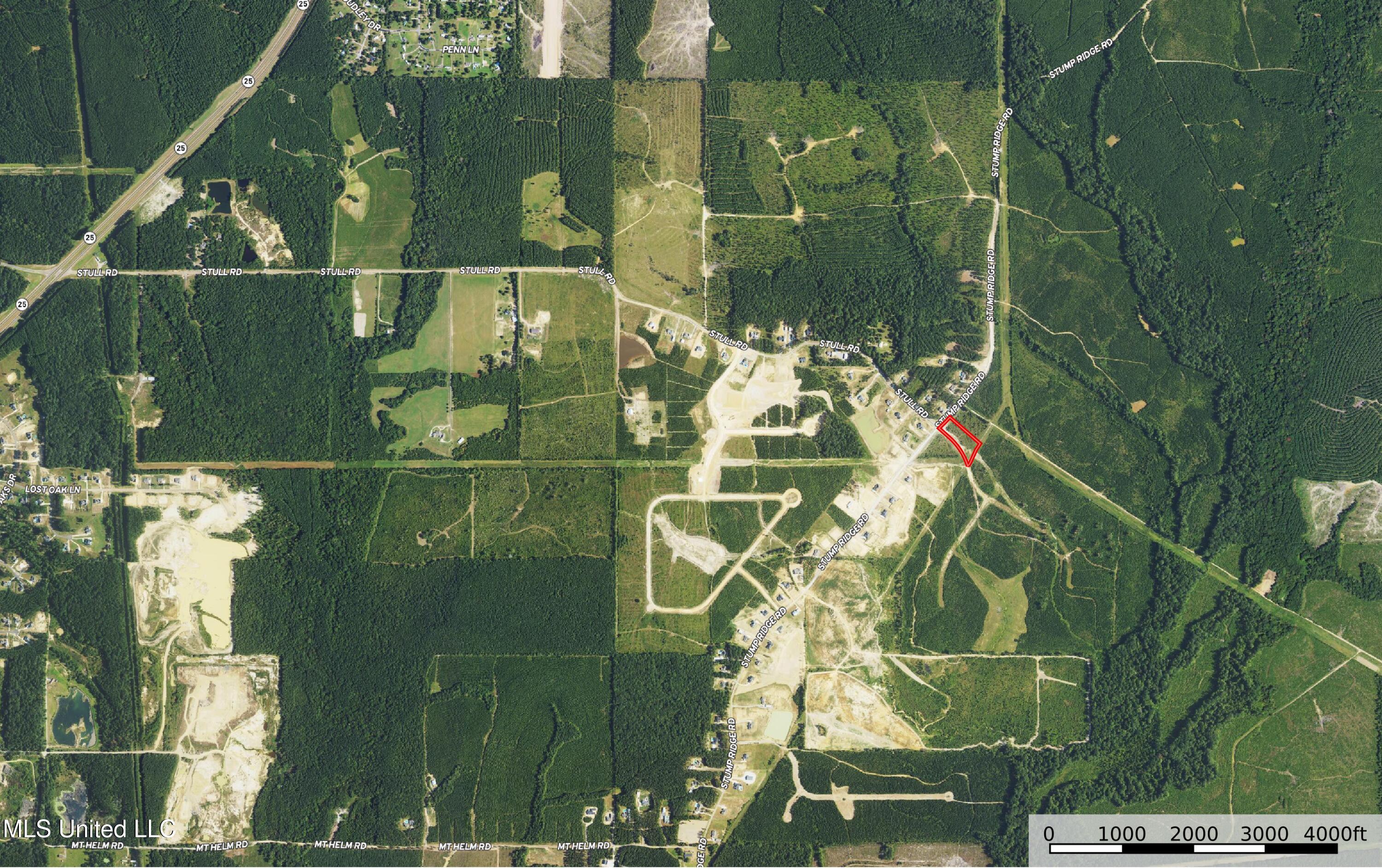 Stump Ridge Road, Brandon, Mississippi image 2
