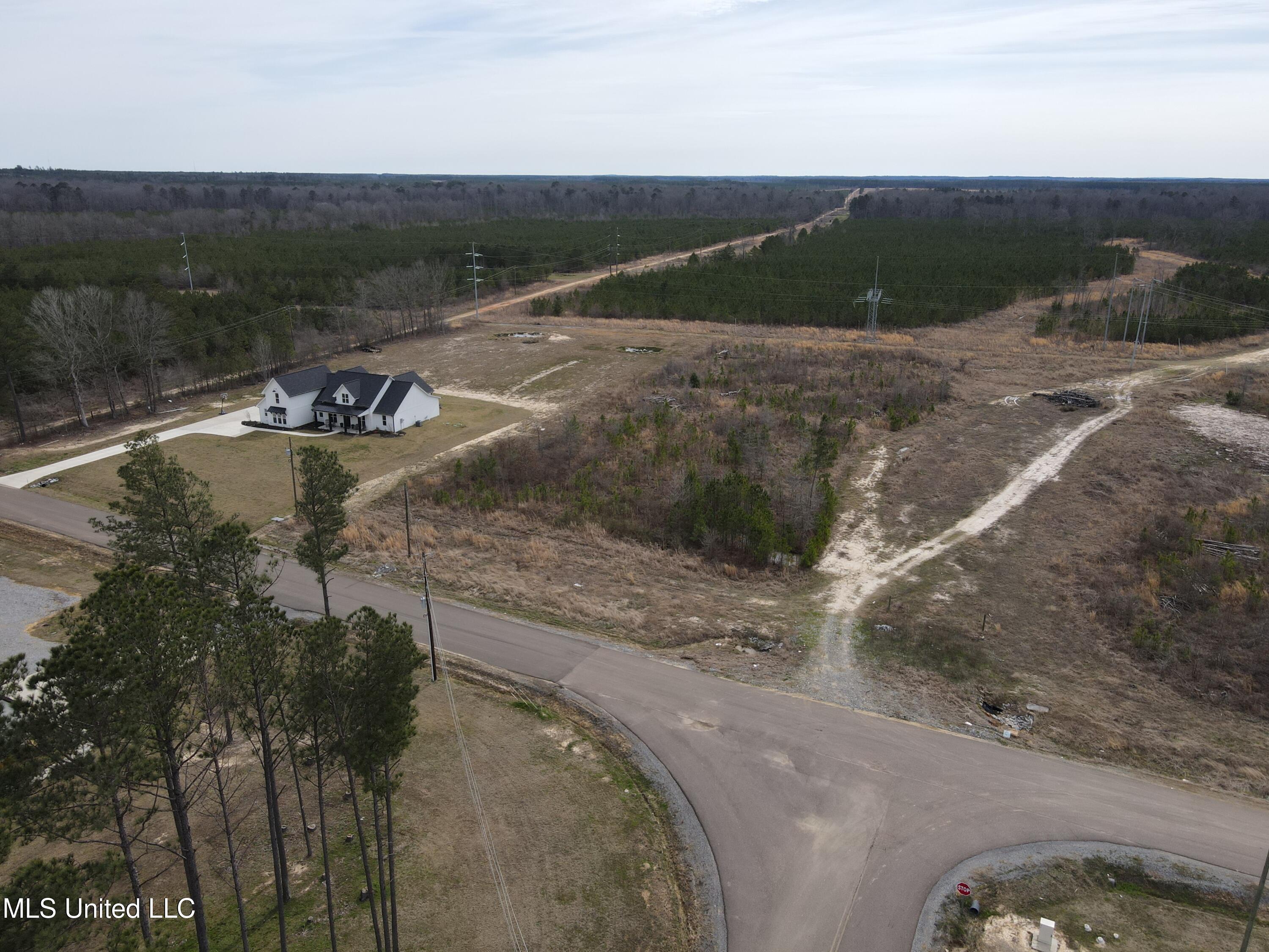 Stump Ridge Road, Brandon, Mississippi image 18