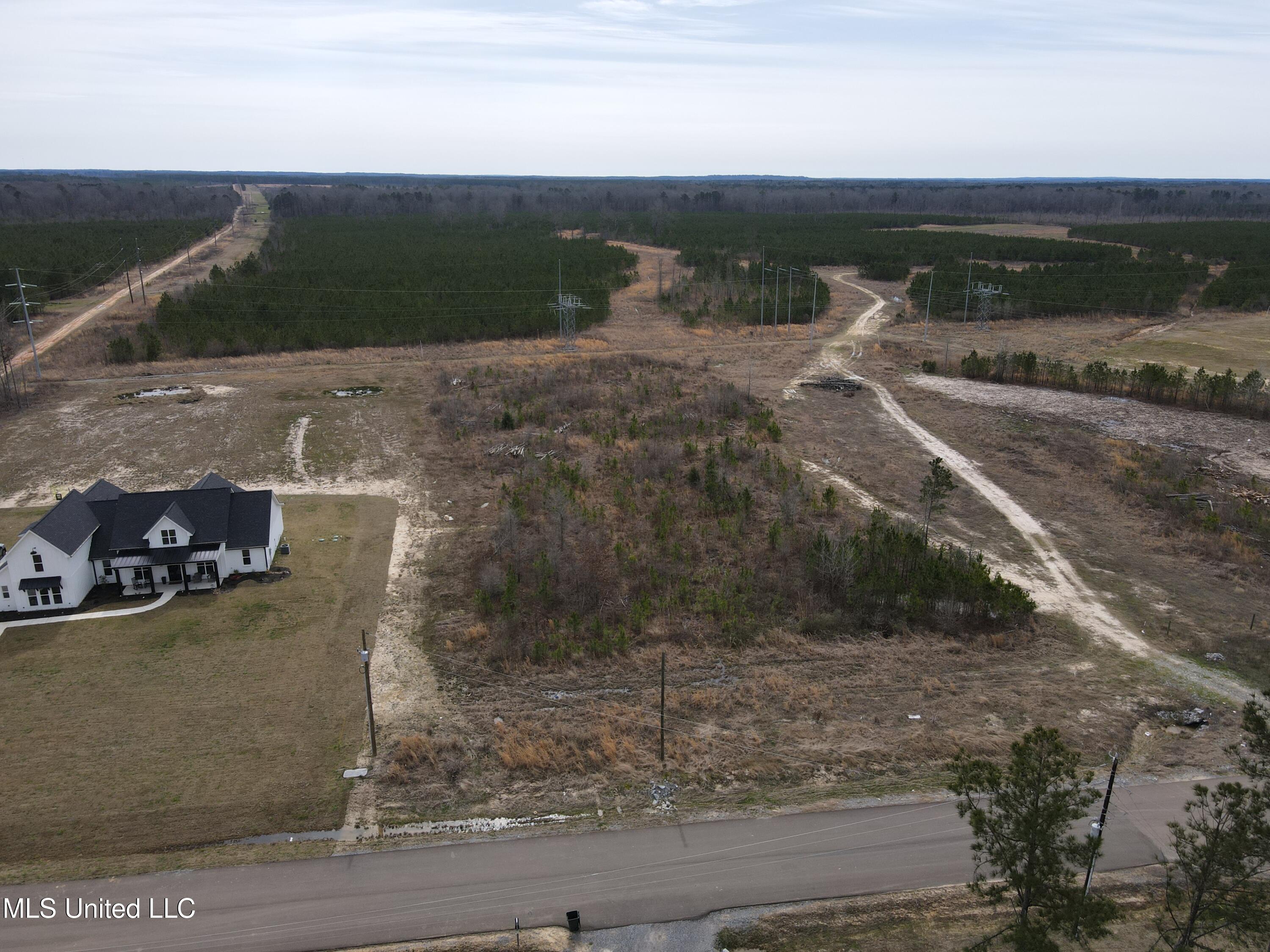 Stump Ridge Road, Brandon, Mississippi image 16