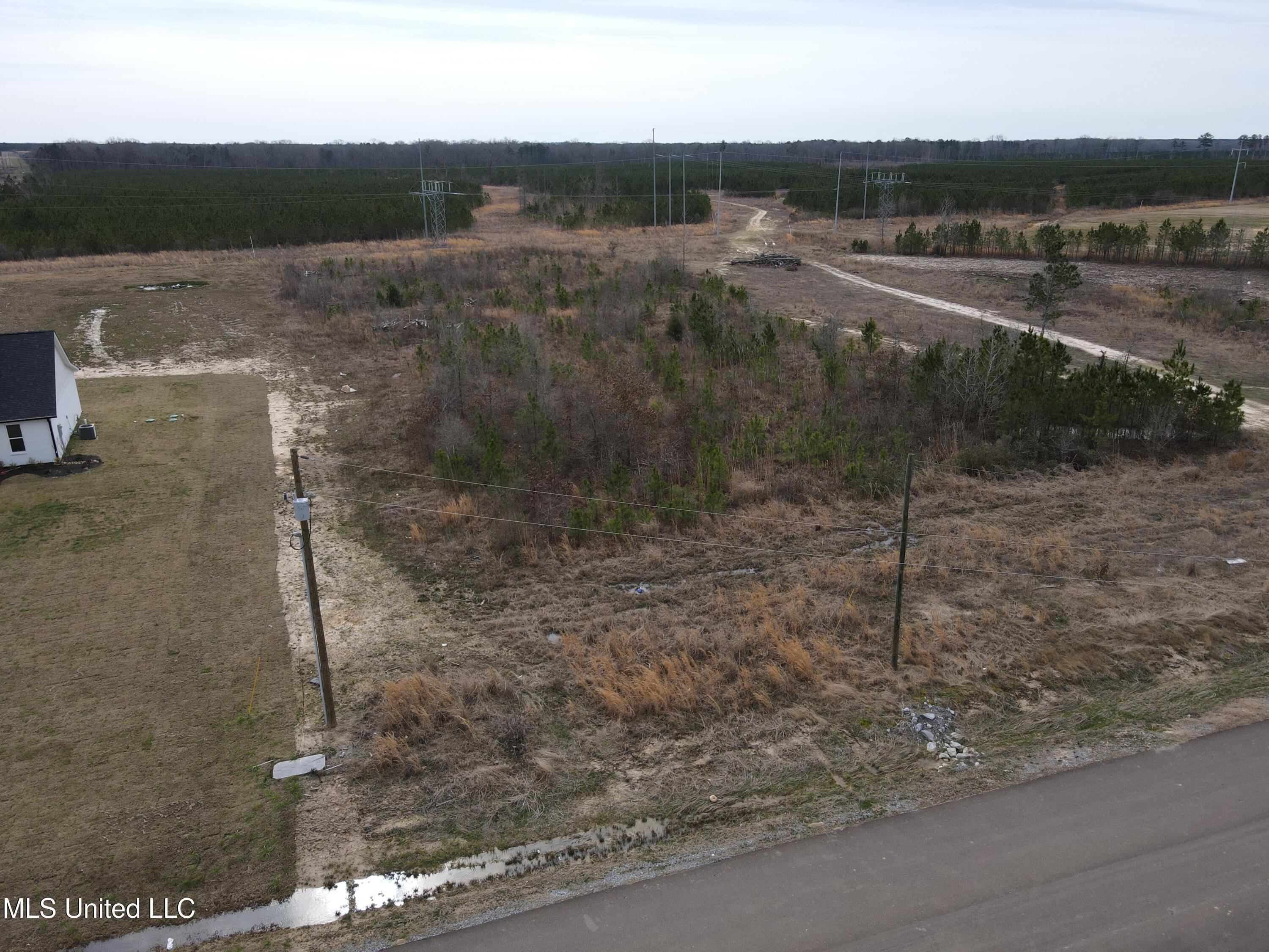 Stump Ridge Road, Brandon, Mississippi image 7