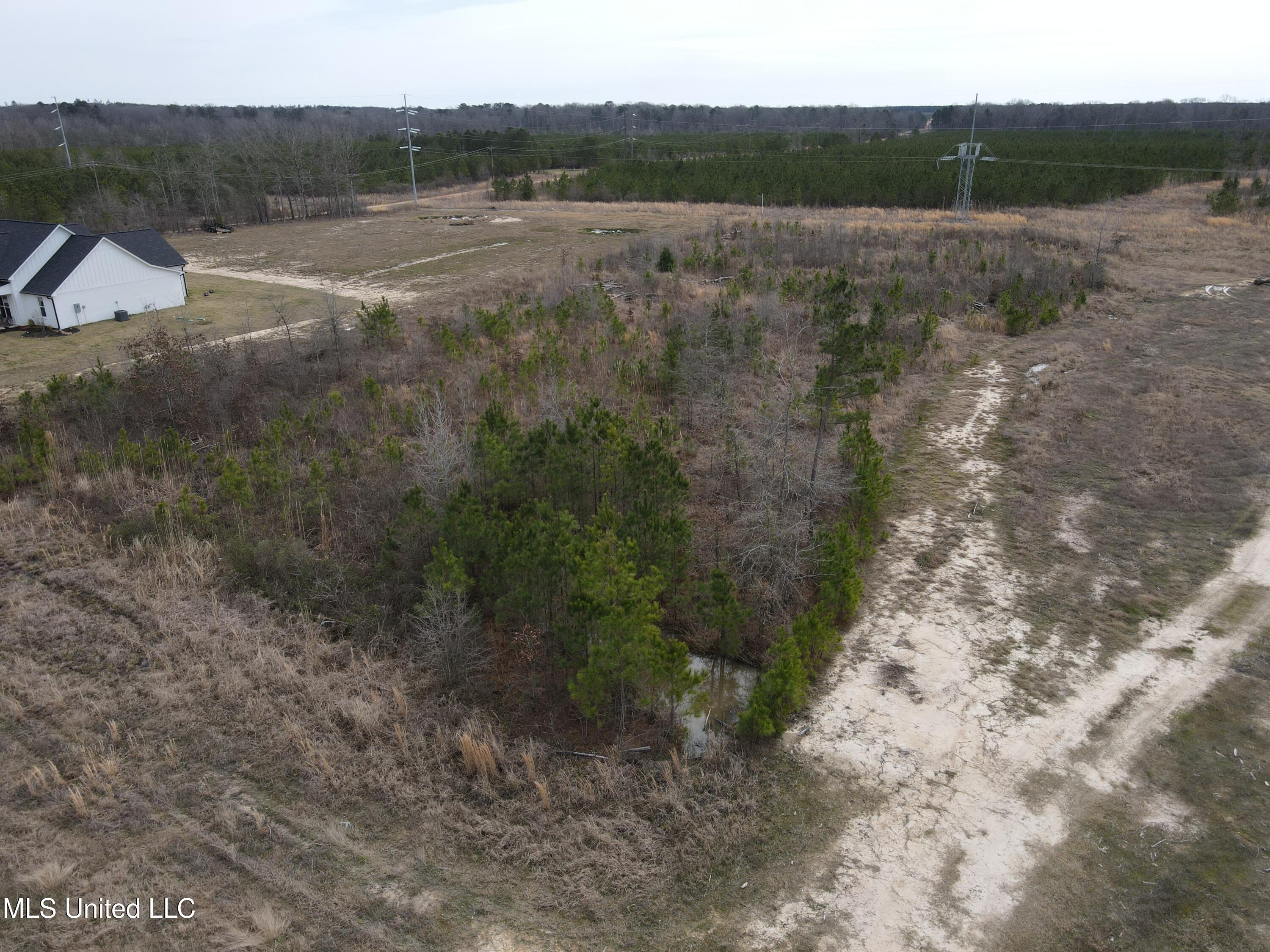 Stump Ridge Road, Brandon, Mississippi image 9