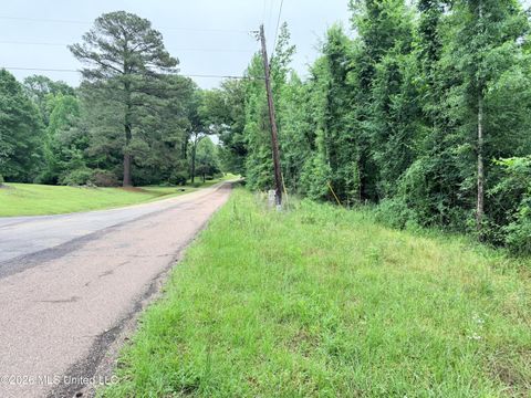 Vacant Land For Sale - 00 Parsons Road<br/> Raymond, MS 39154