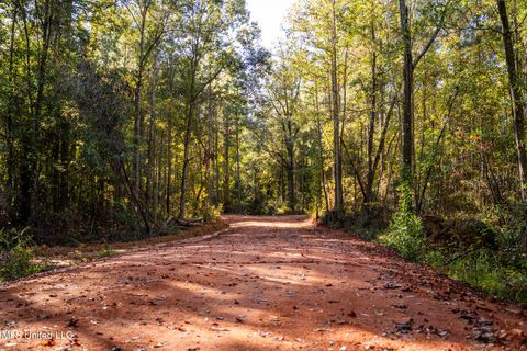 Vacant Land For Sale - Bolin Long Creek Road<br/> Lauderdale County, Meridian, MS 39301