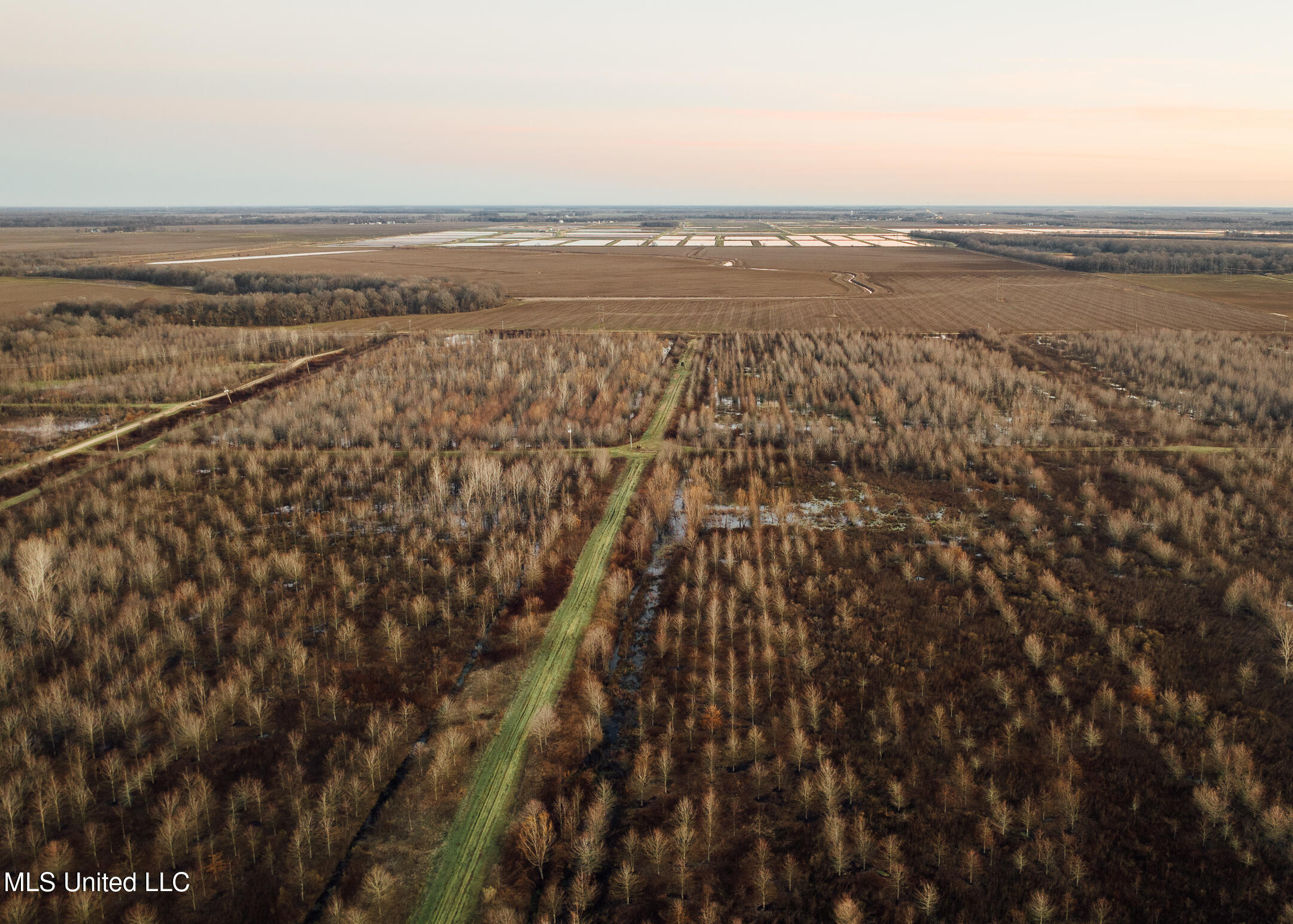 40 E Blackbelt Road, Sunflower, Mississippi image 7