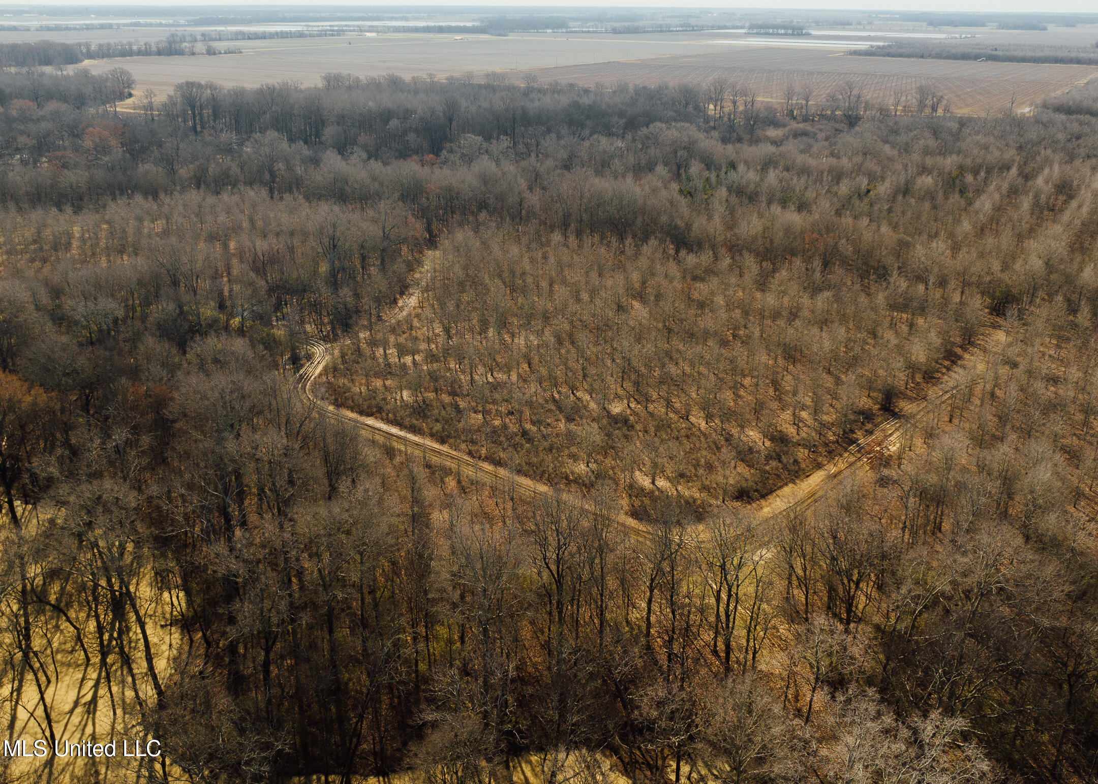 40 E Blackbelt Road, Sunflower, Mississippi image 25