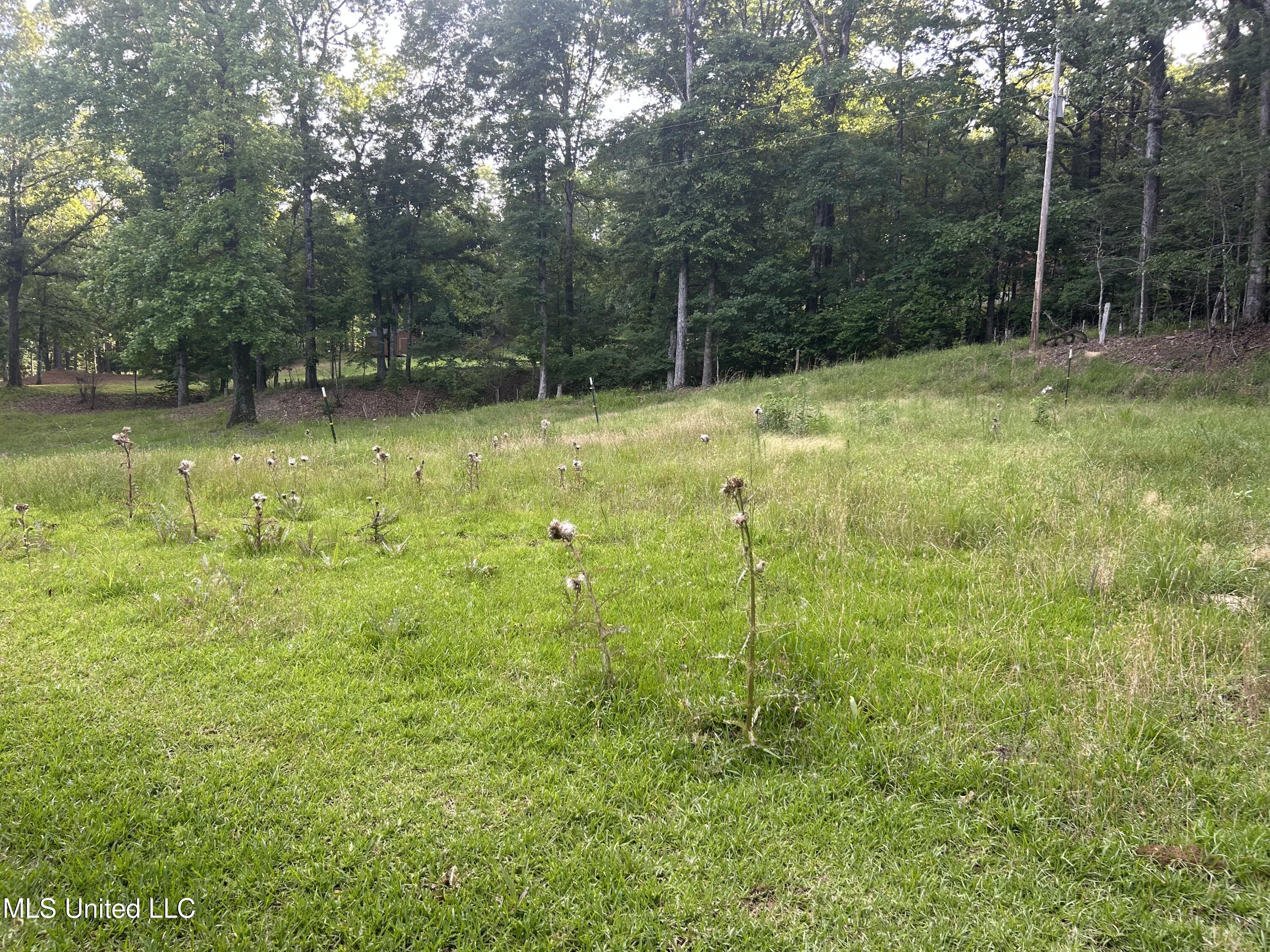 5184 Pearidge Road, Grenada, Mississippi image 6