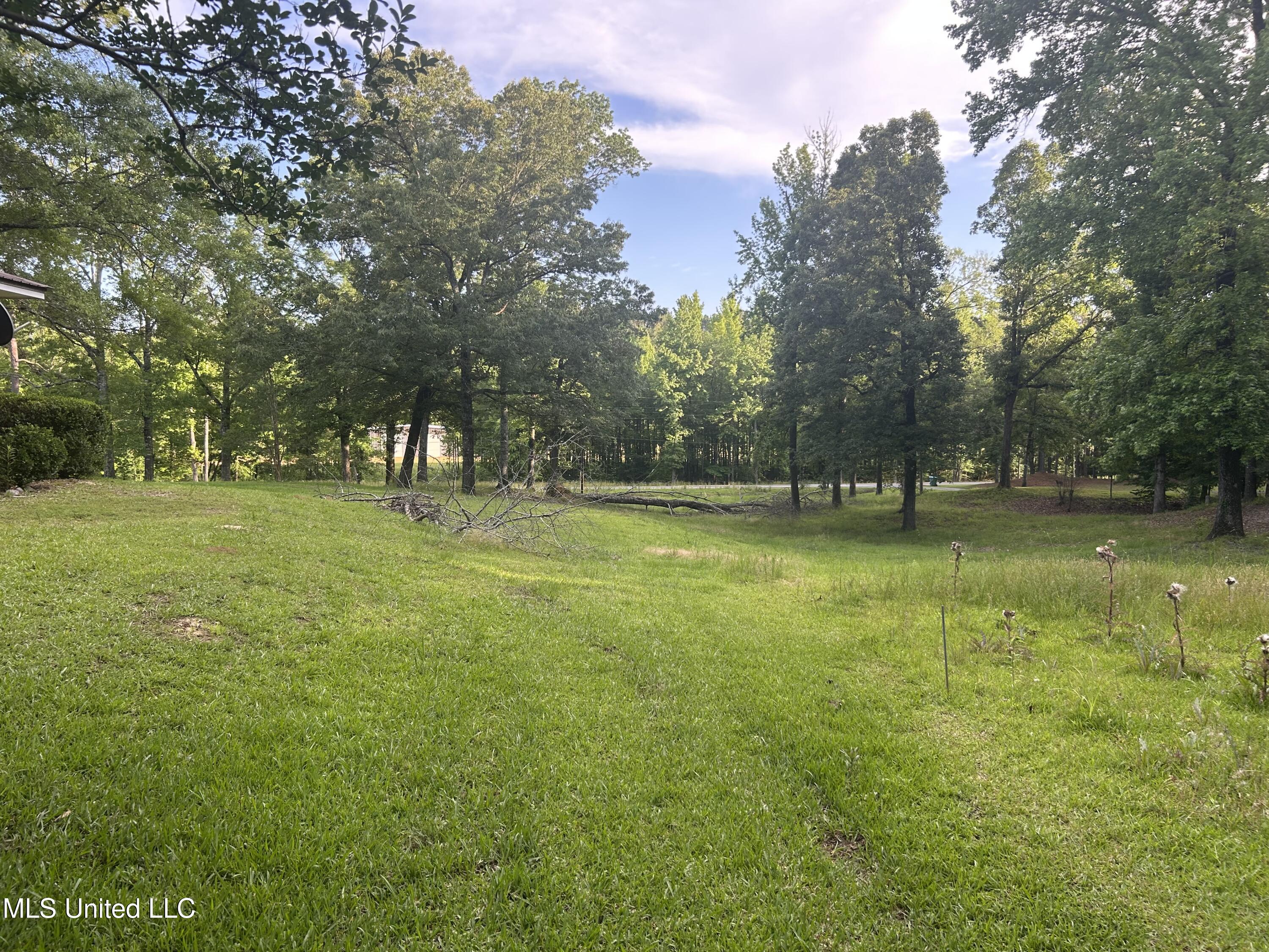 5184 Pearidge Road, Grenada, Mississippi image 5